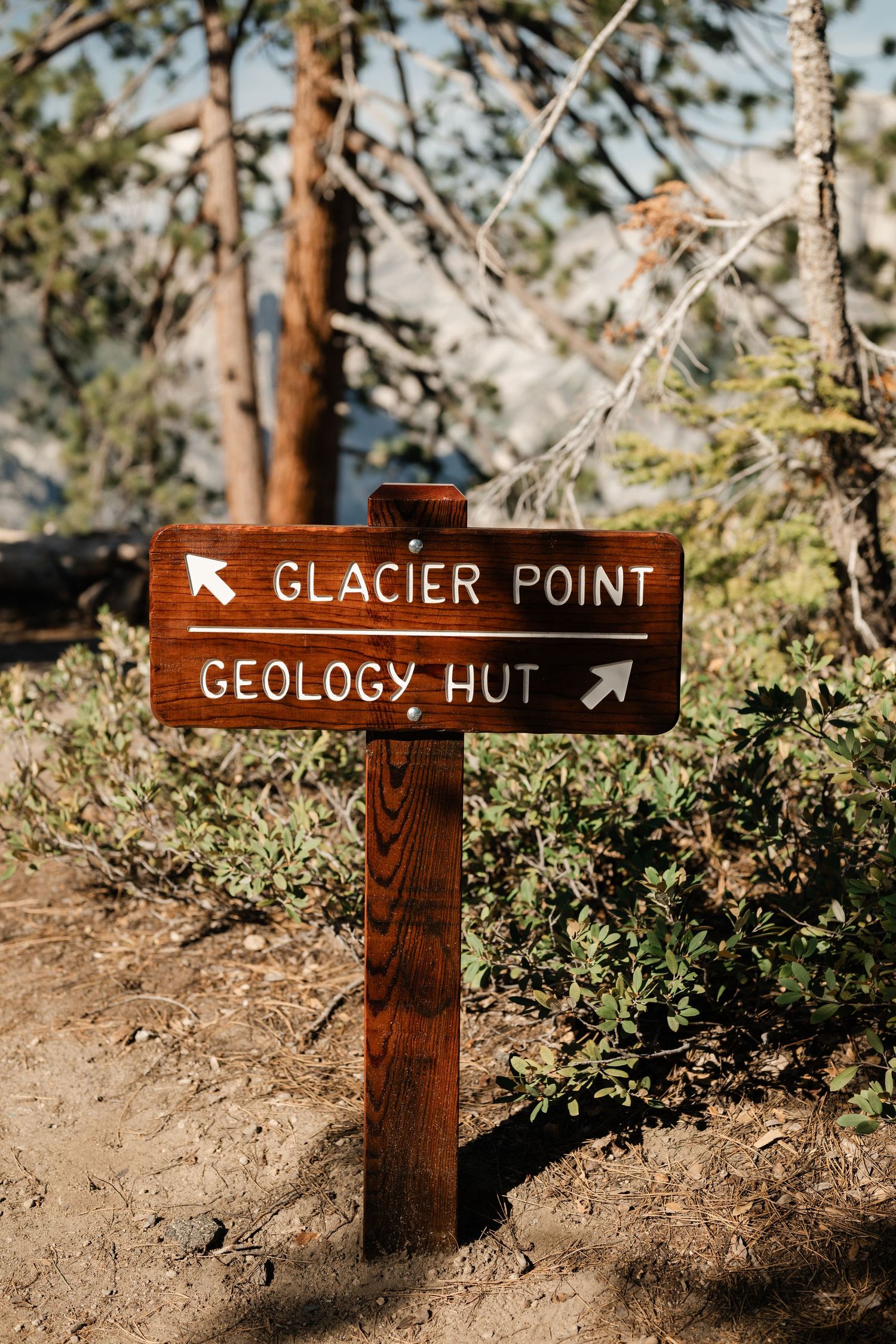 Wooden trail sign pointing to Glacier Point and Geology Hut at Yosemite National Park surrounded by trees.