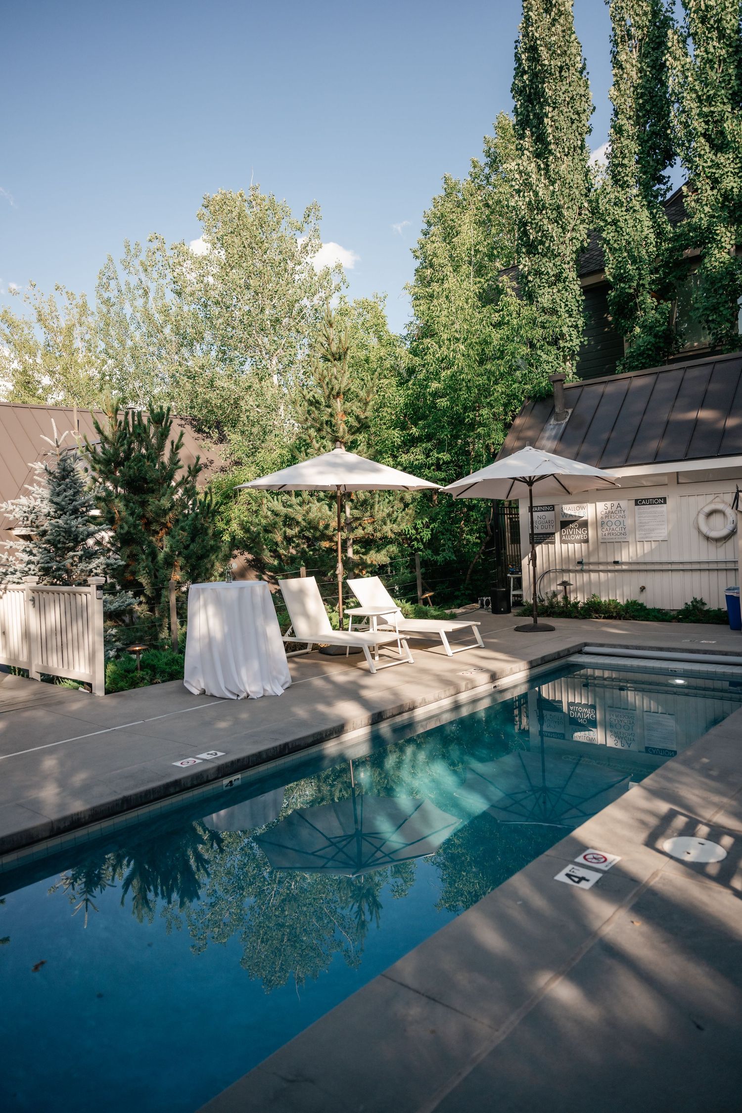 Modern swimming pool surrounded by tall trees and lounge chairs in an outdoor setting.