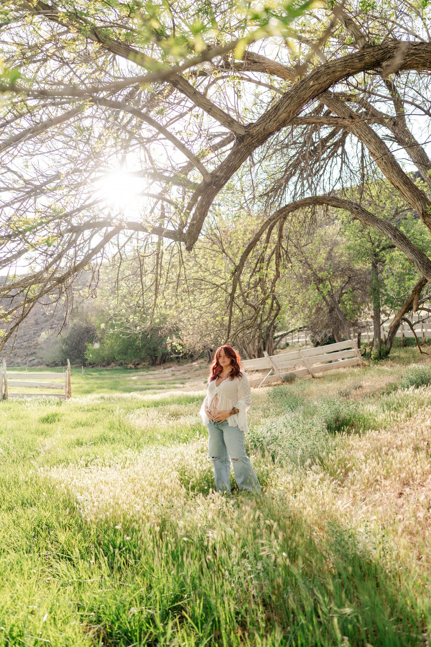 Pregnant woman with red hair in white top and jeans standing in sunlit green field under sprawling tree branches.