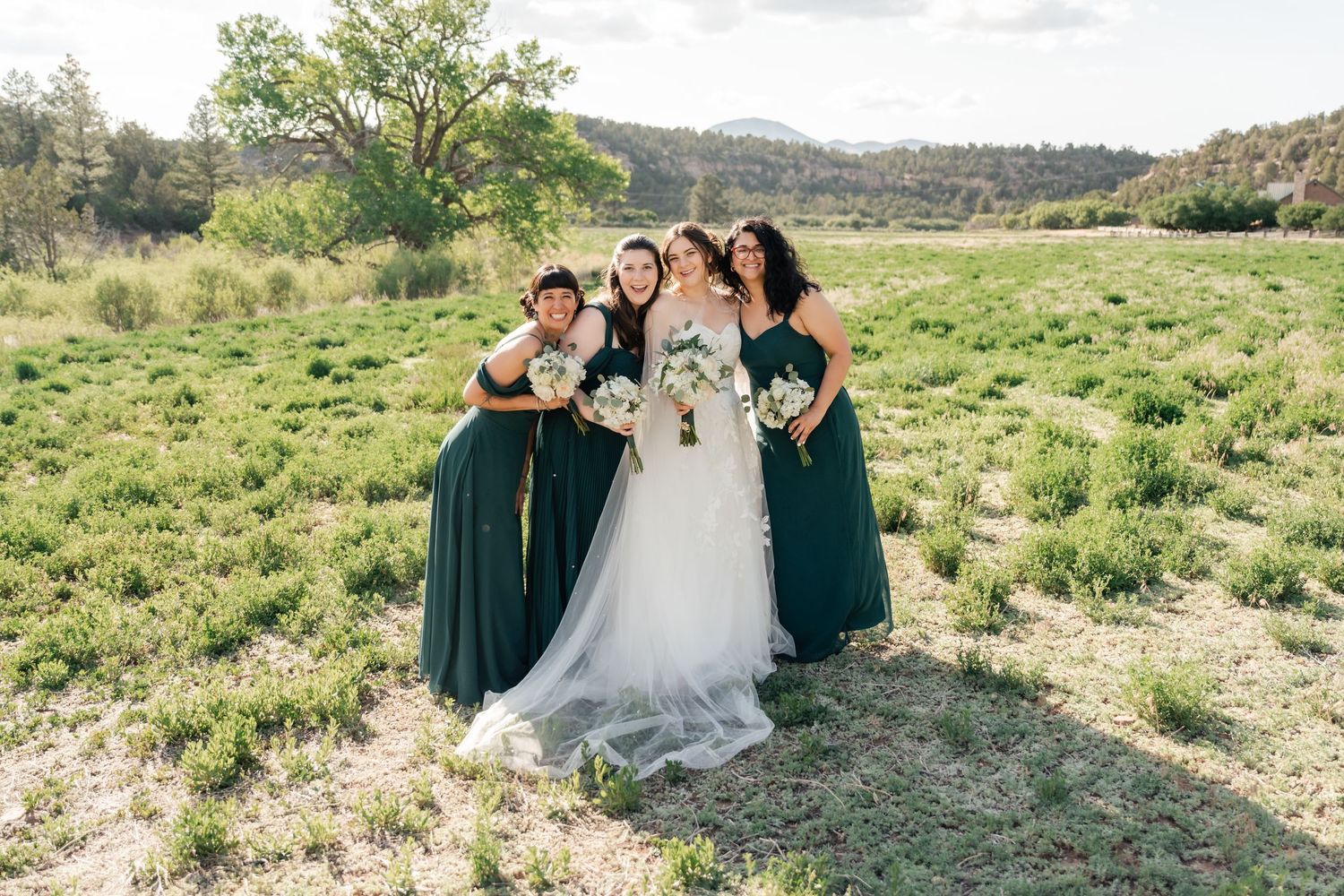 Wedding party poses together in a sunny meadow with mountains in background wearing emerald green dresses and white gown.