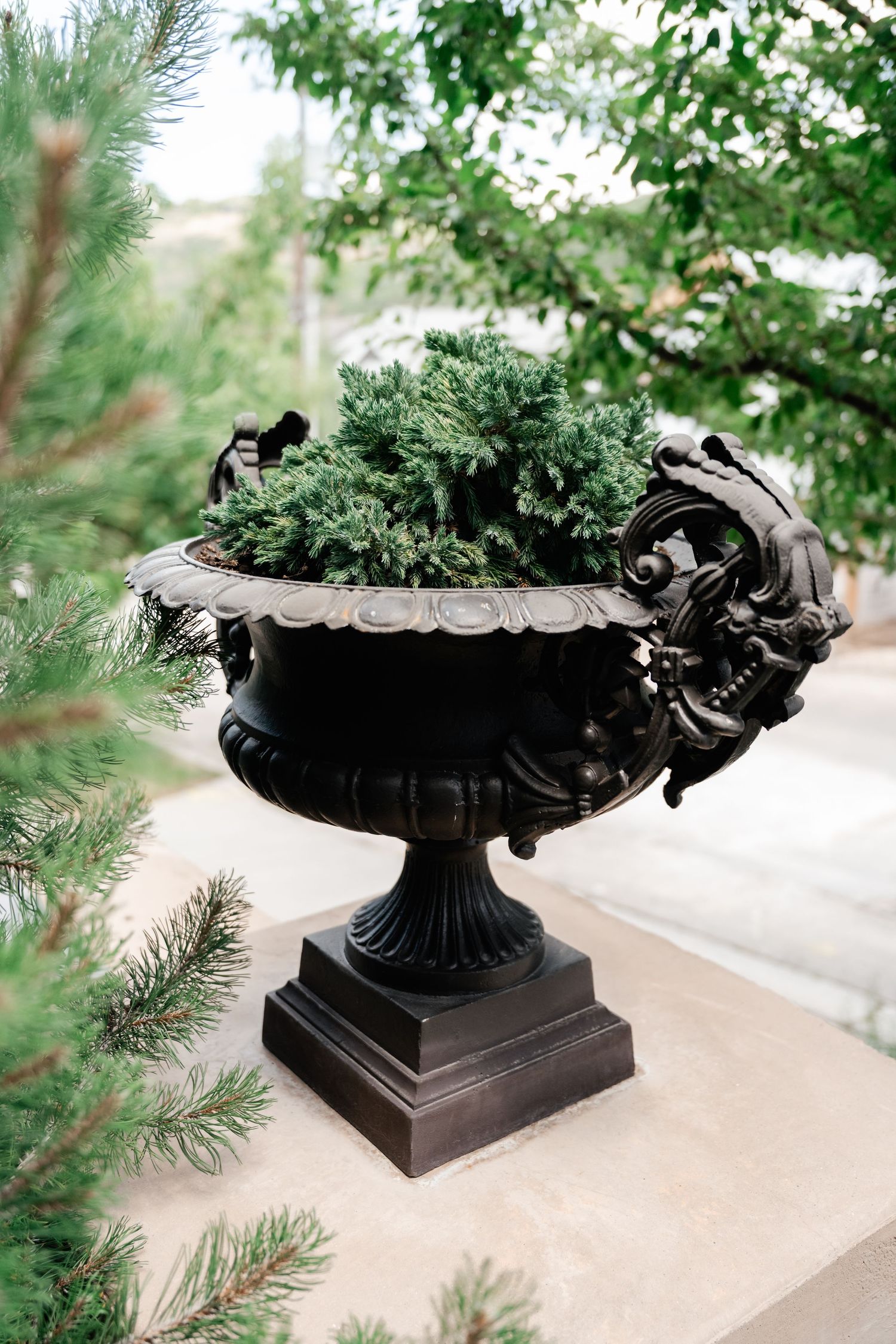 Decorative black metal urns with greenery arrangements displayed on outdoor pedestals.