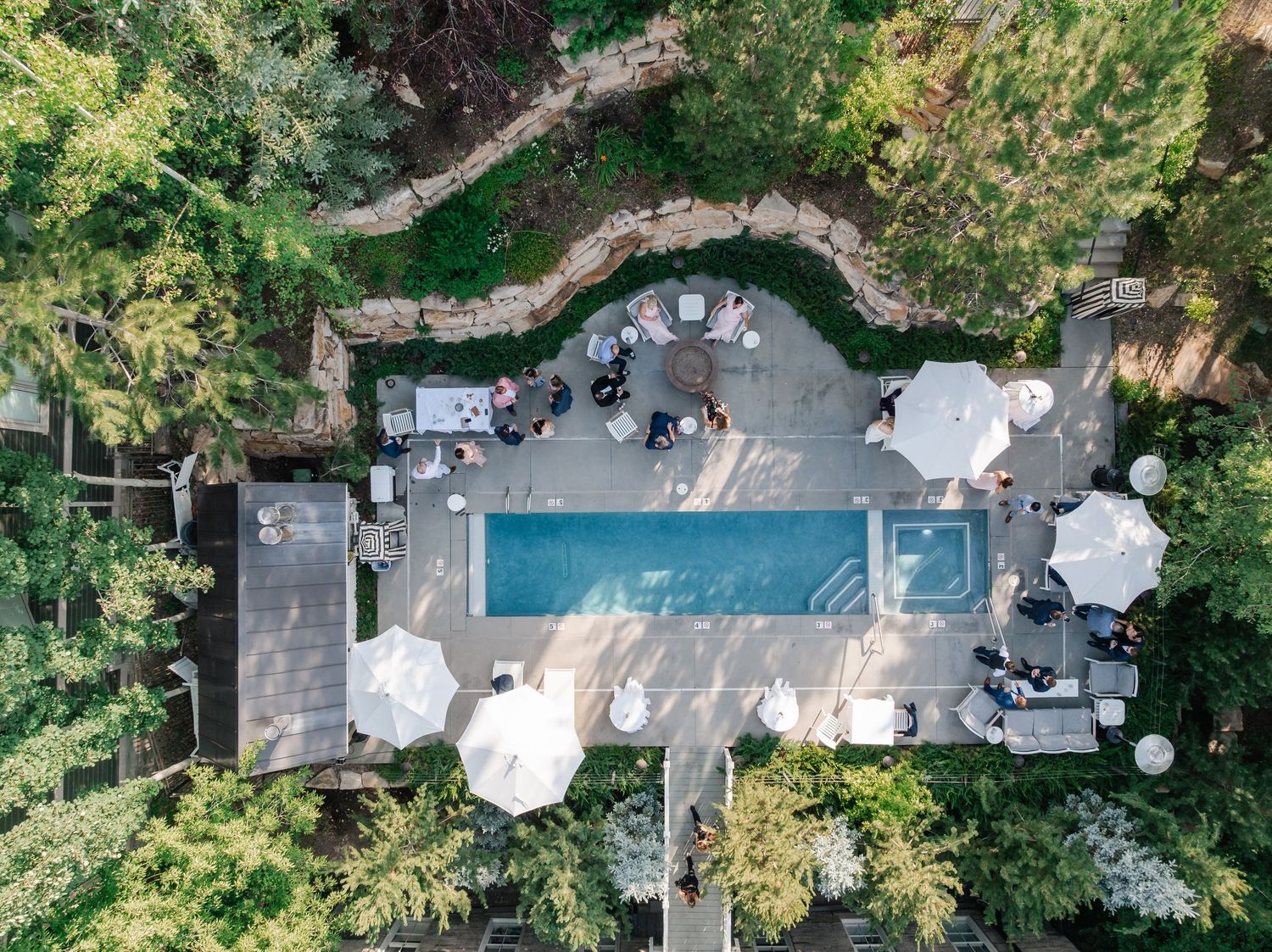 Aerial view of a luxury outdoor pool surrounded by white umbrellas, patio seating, and green trees at the Washington School House Hotel.