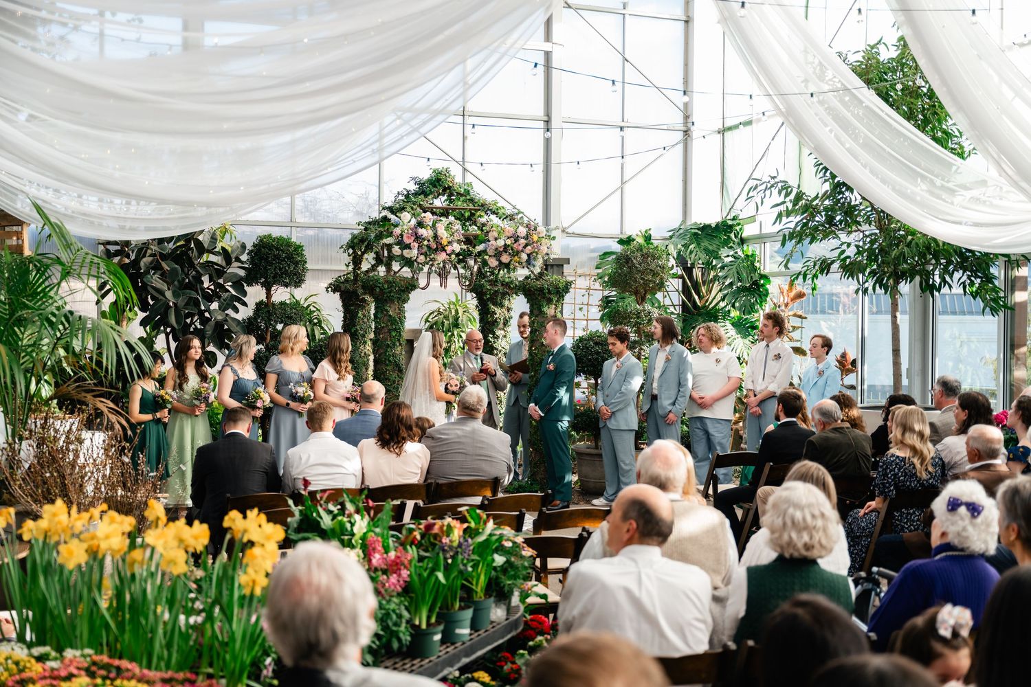 A wedding ceremony in a greenhouse venue decorated with white drapes, yellow tulips, and lush greenery overhead.