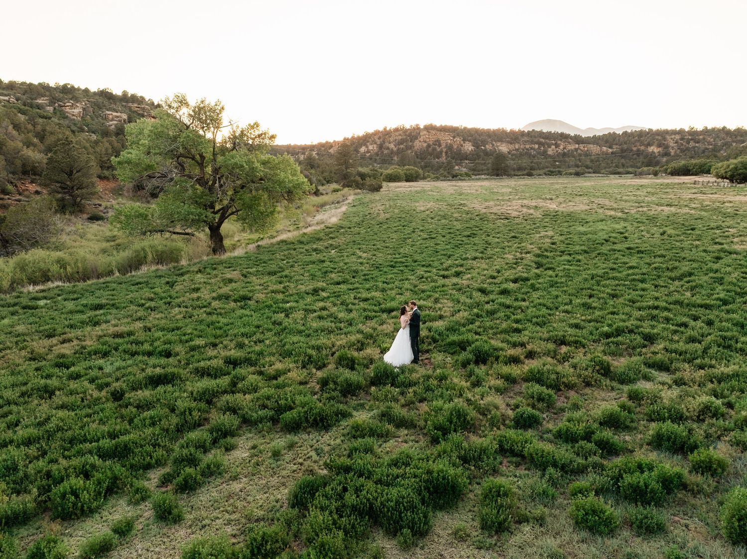 A lone figure in white stands in a vast green meadow surrounded by rolling hills and scattered trees at sunset.