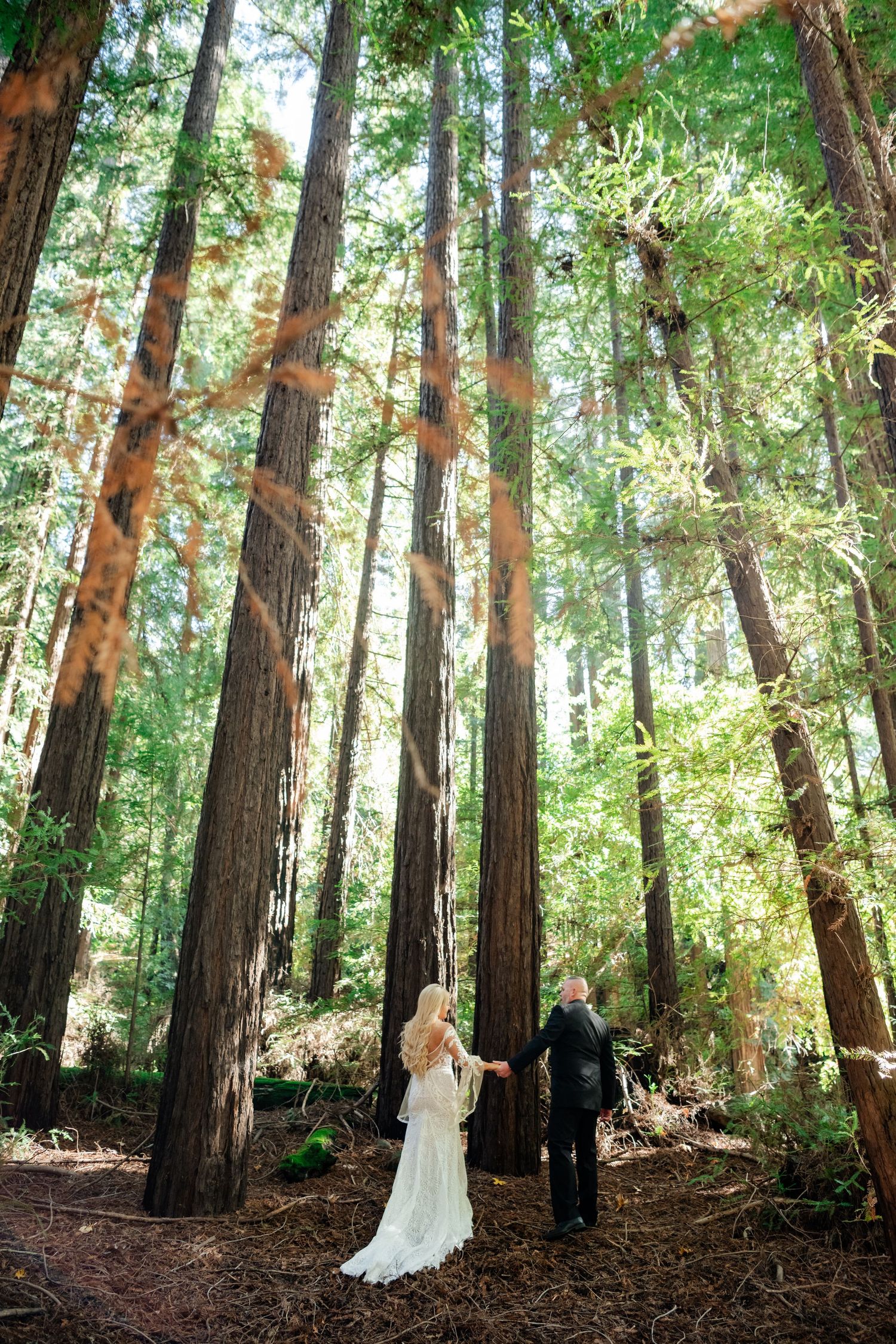 A romantic wedding photo of a couple standing among towering redwood trees in a forest setting.