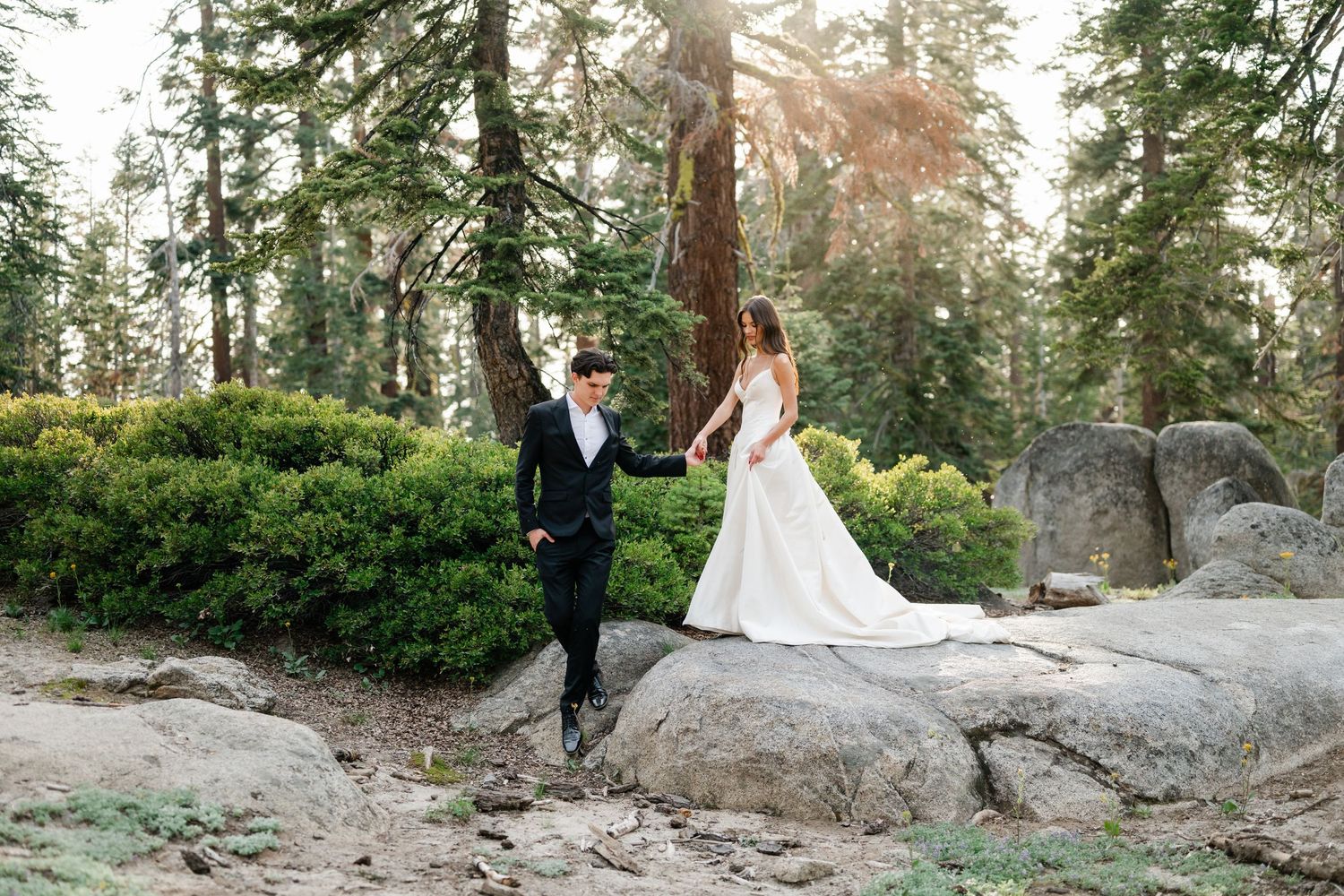 Bride and groom walk hand-in-hand on rocky terrain surrounded by tall pine trees in a scenic forest wedding photo.