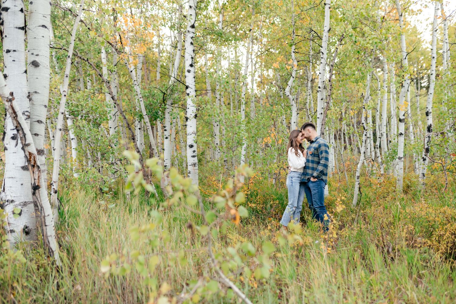A couple walking through a scenic aspen grove with white bark trees in autumn.