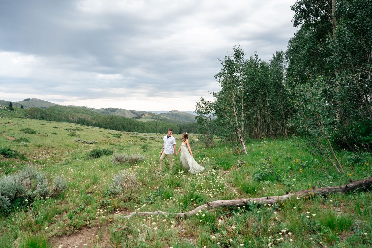 A scenic panoramic view shows rolling green hills dotted with trees and wildflowers under a cloudy summer sky.