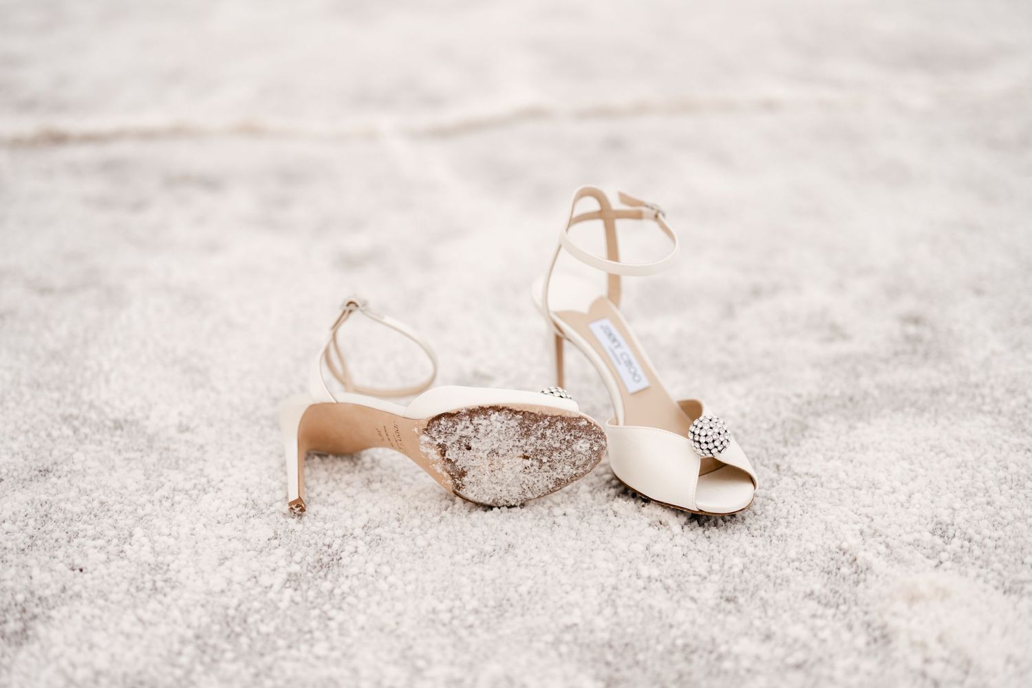 Salt Flats Elopement Photographer. Delicate seashells scattered on pristine white sand create a serene beach scene in soft neutral tones.