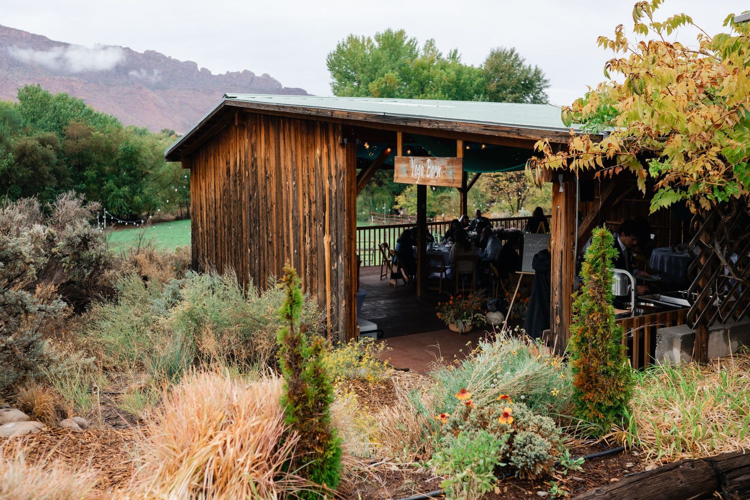A rustic wooden shed with a metal roof surrounded by native grasses and mountain views in the background.