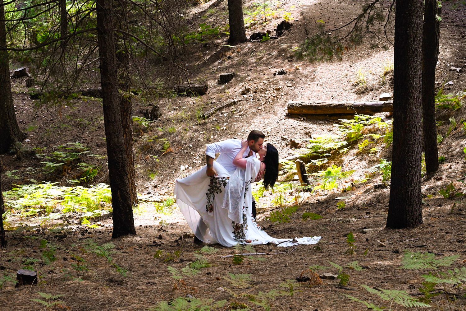 White-clad figures walking through a sunlit forest path.