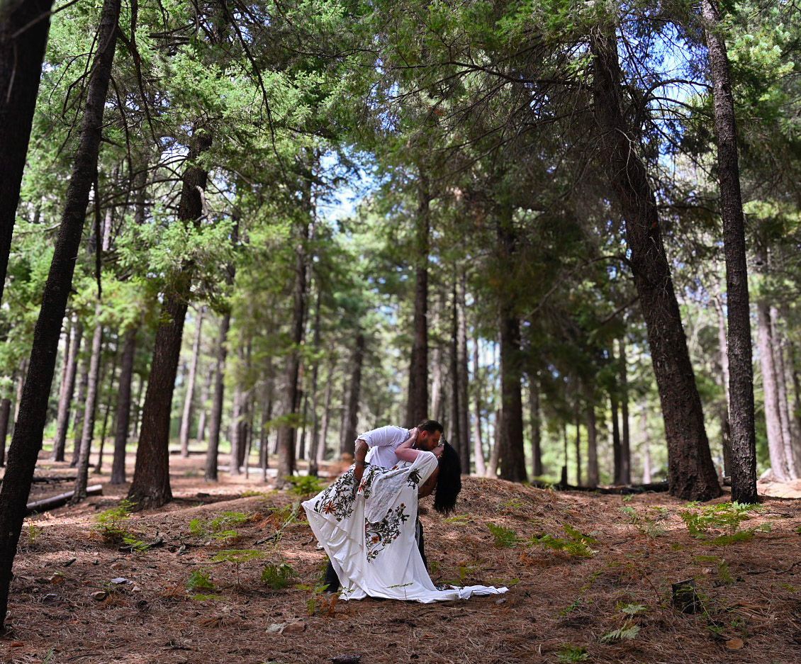 A romantic forest scene with pine trees creating a natural archway.