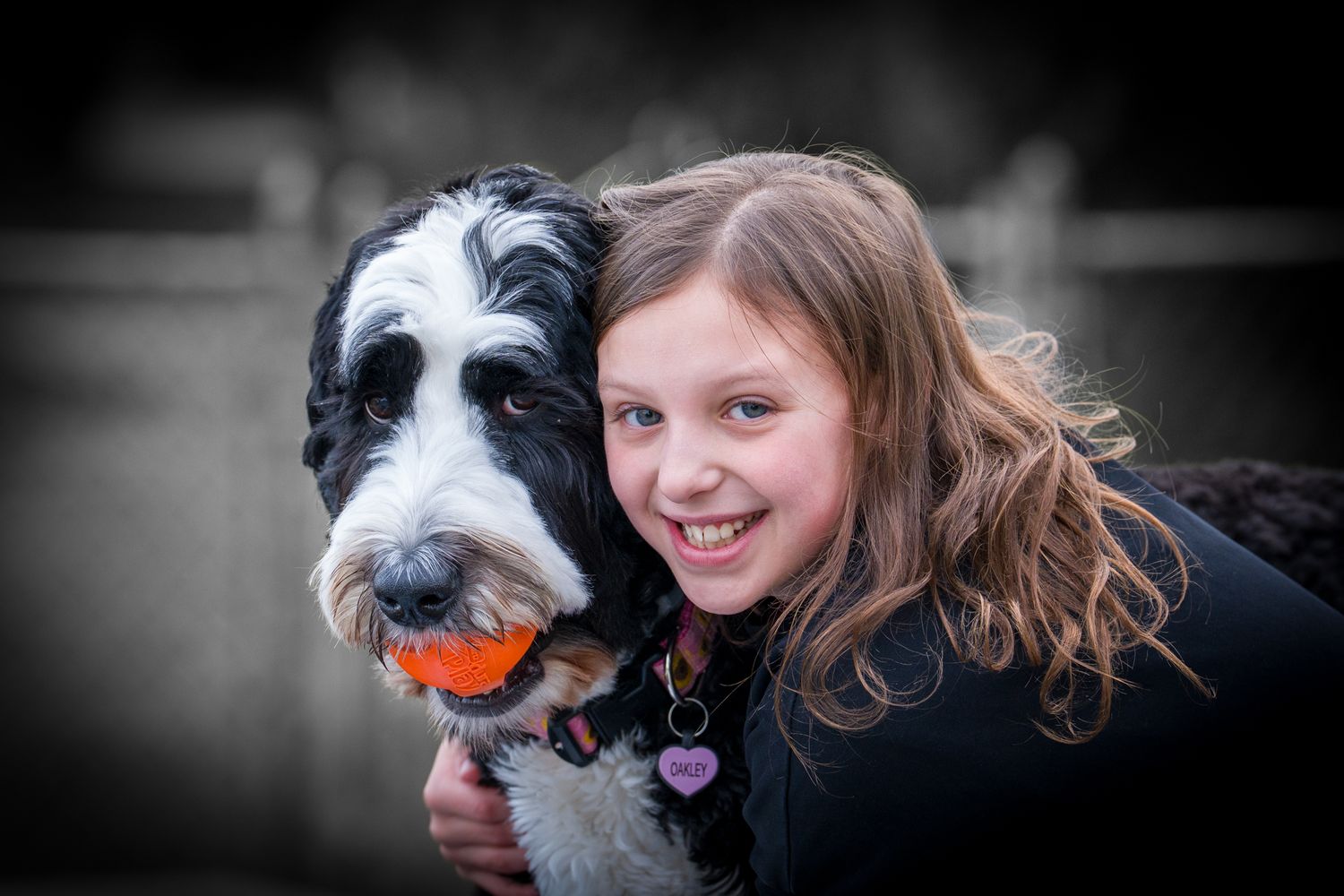 Bernedoodle and girl