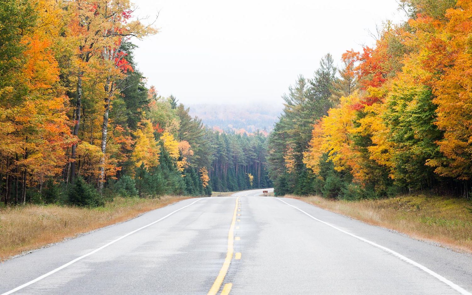 Fall