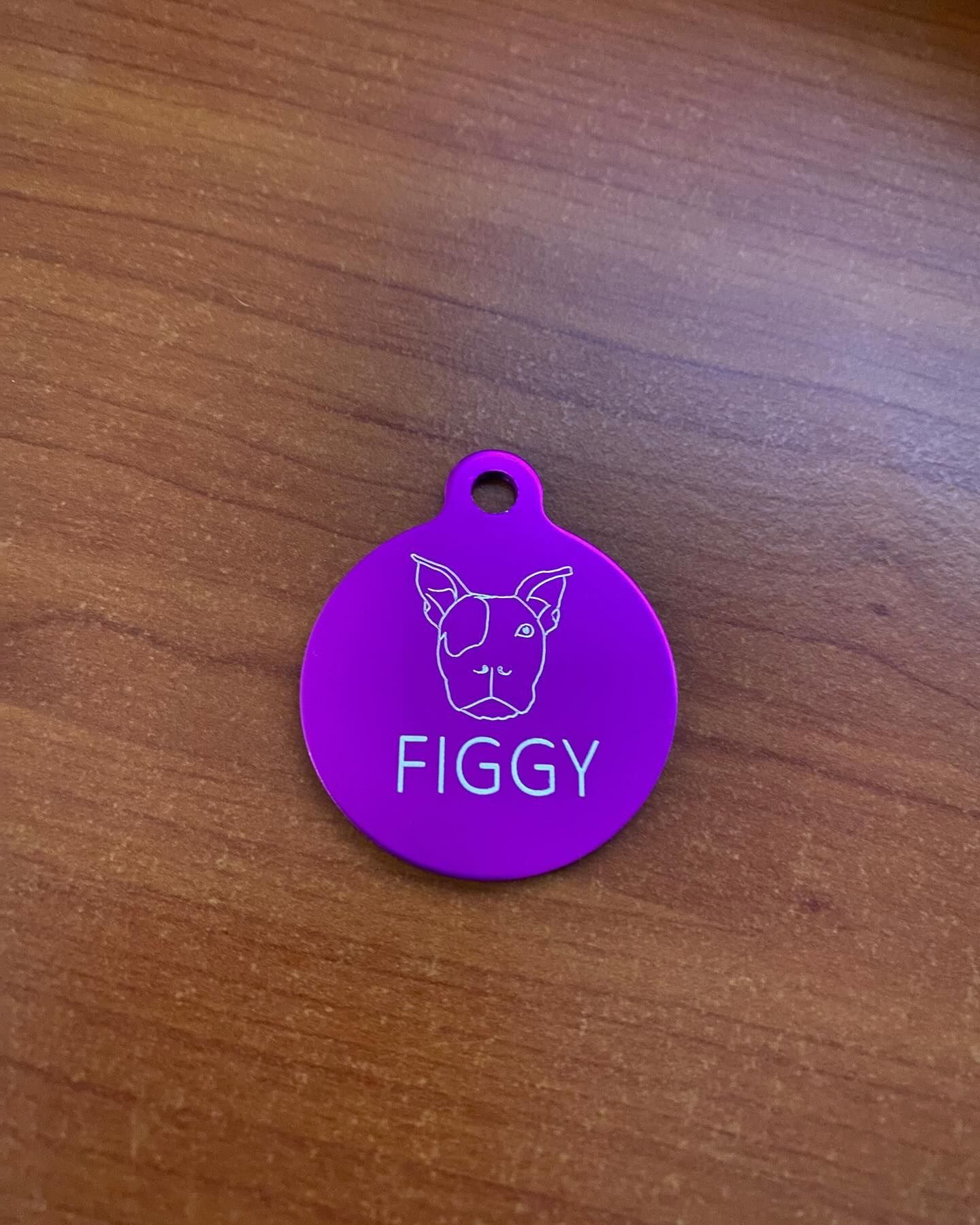Pet Tag