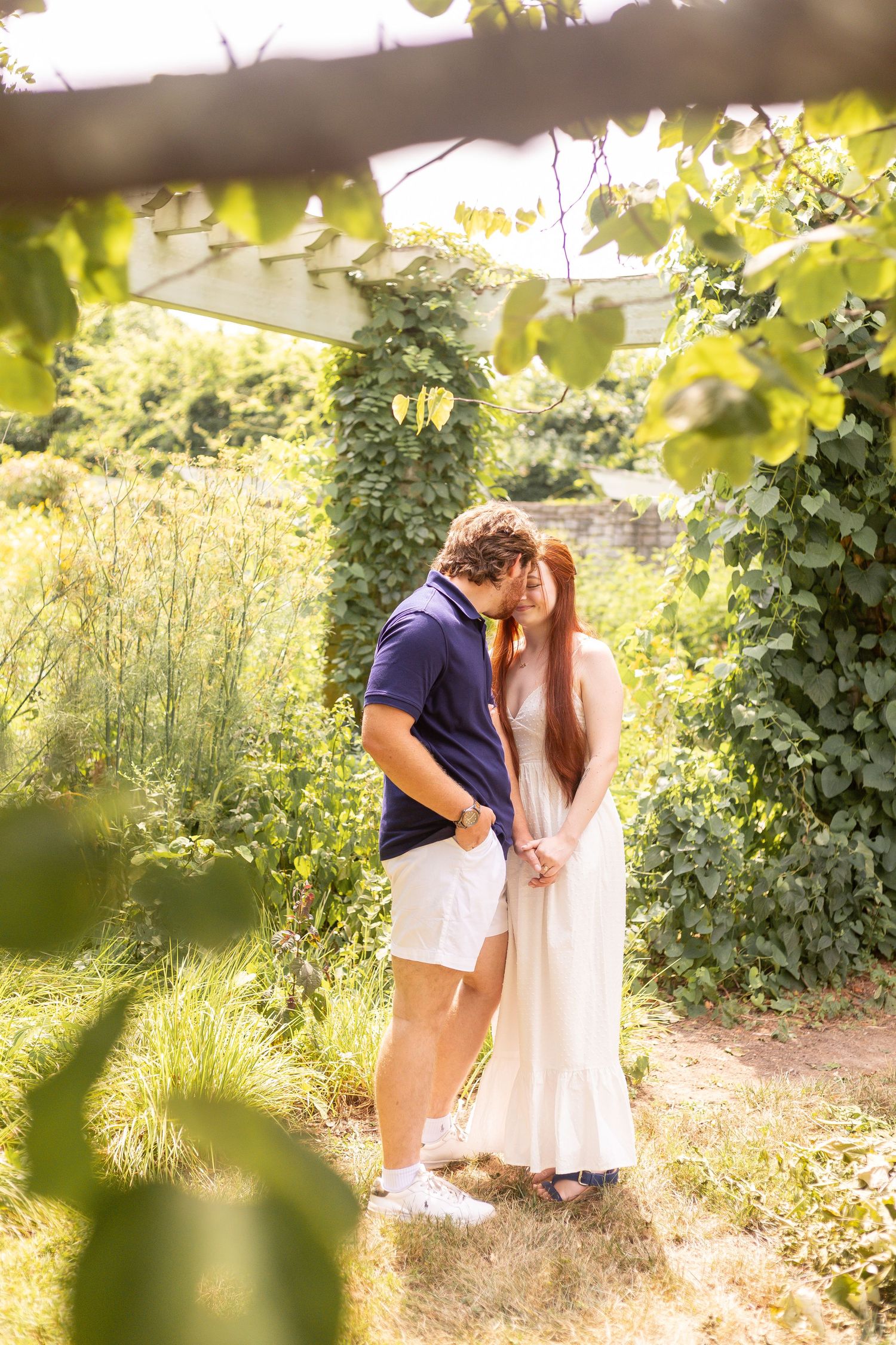 A romantic summer garden scene with soft sunlight filtering through leaves and greenery.