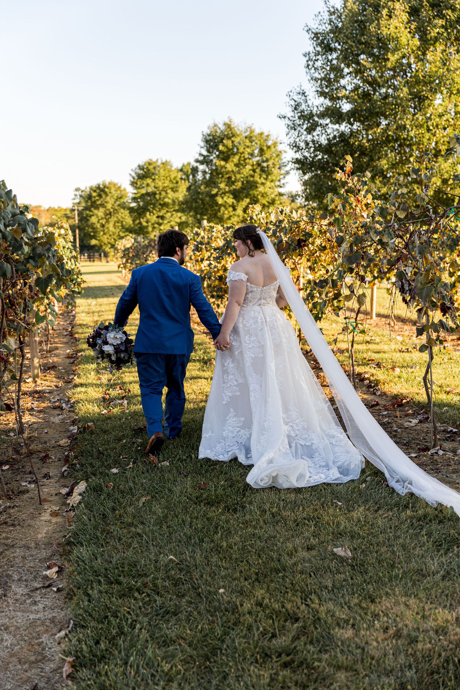 A newly married couple walks through a vineyard with the bride's long train trailing behind.