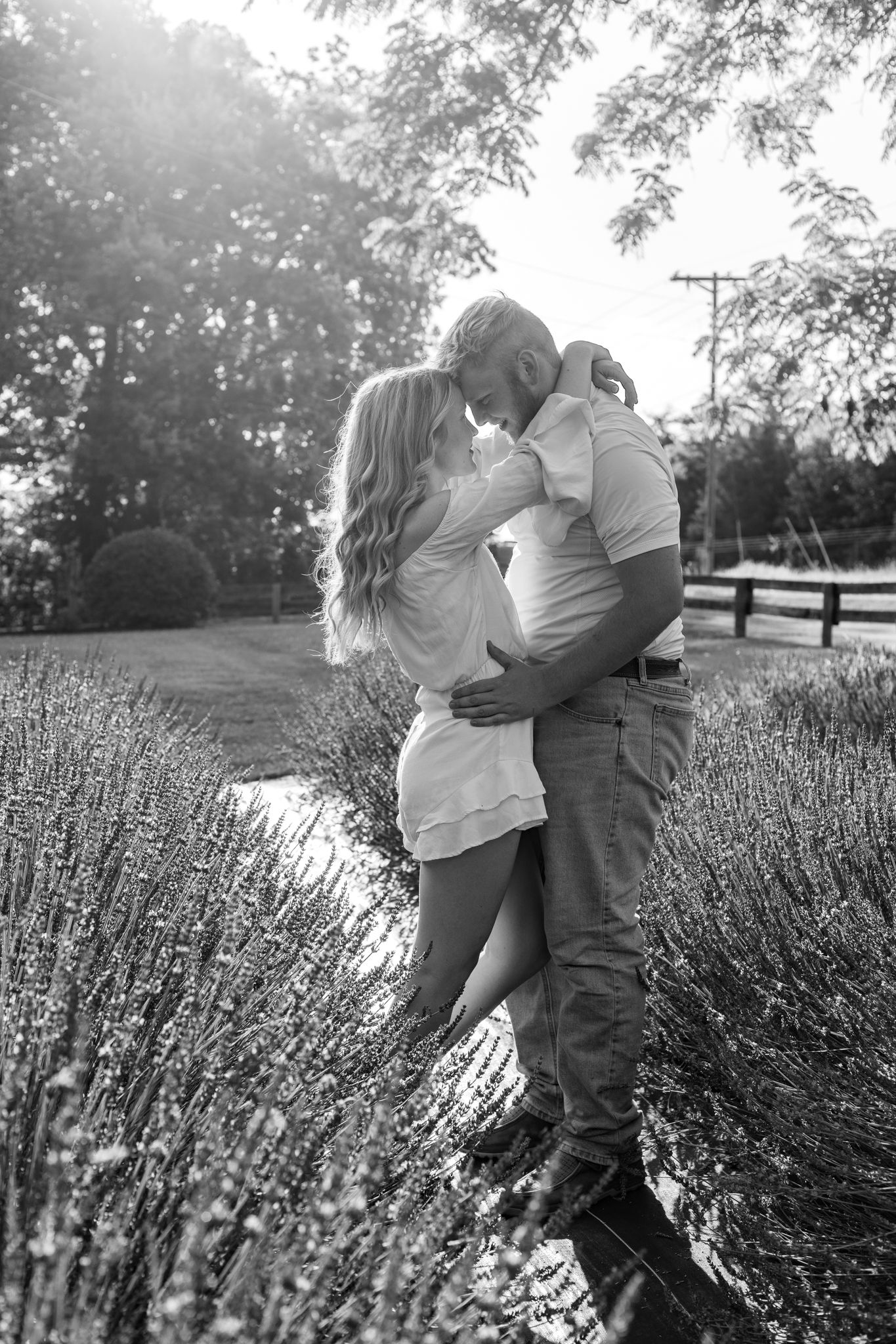 Romantic black and white portrait in a lavender field with sunlit backlight.