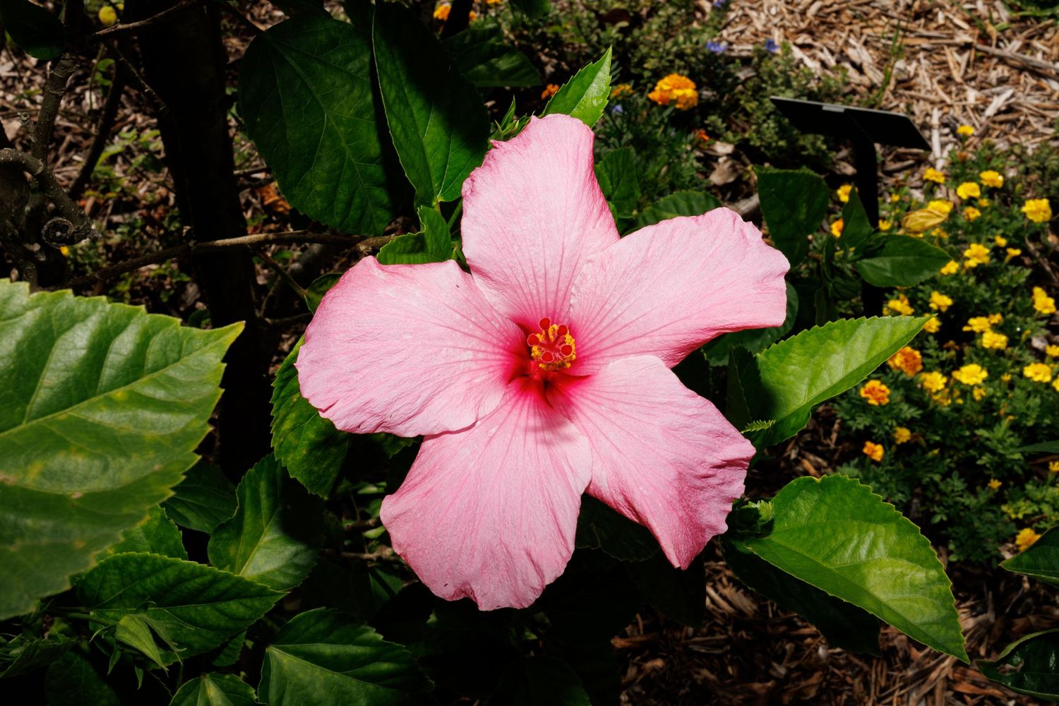 Botanical Gardens, Port St Lucie, Florida