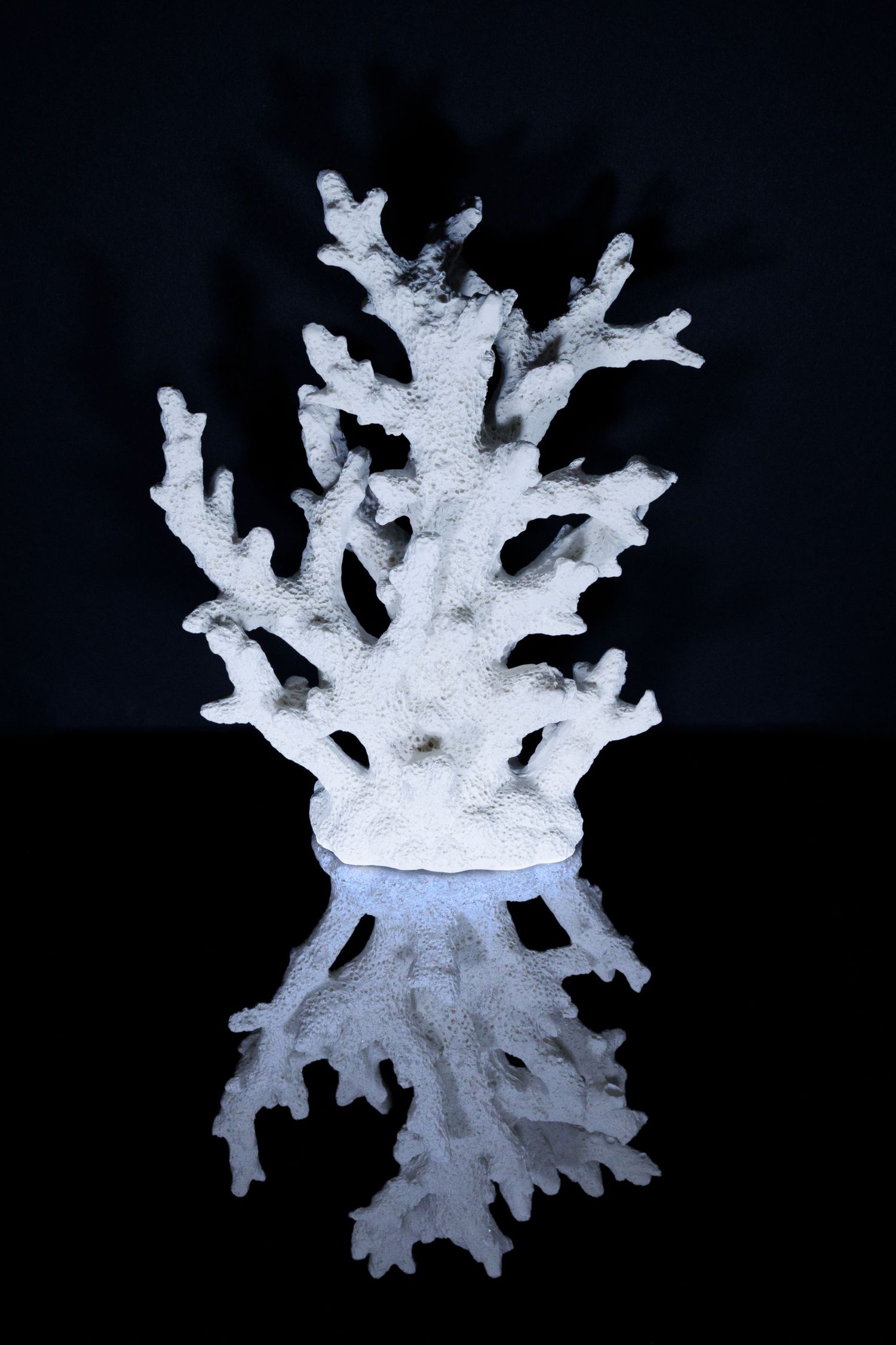 Reflective Lighting Example