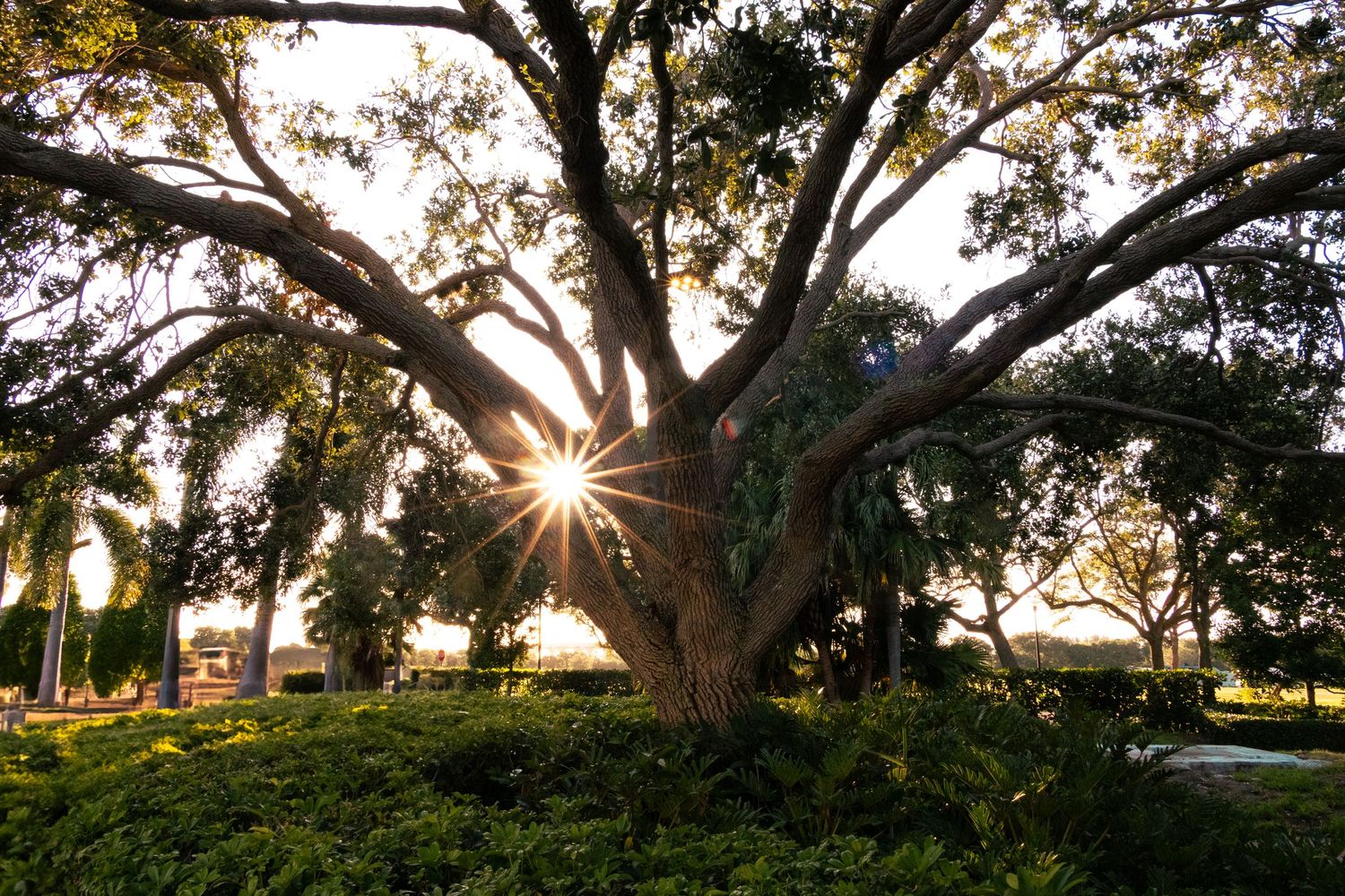 Vero Beach Museum of Art, Vero Beach, Florida