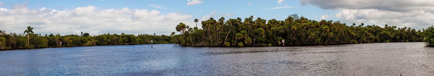 A panoramic view of a calm lake surrounded by lush palm trees and mangroves under a cloudy sky.
