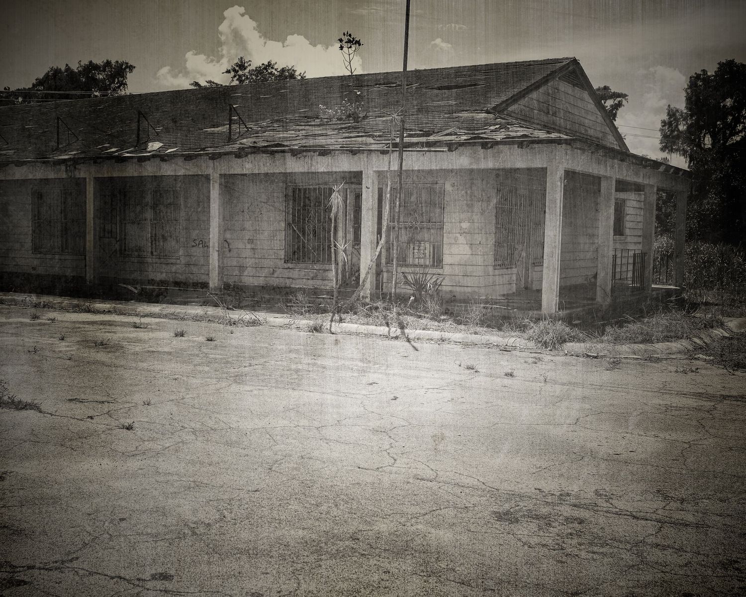 Black and white photo of an abandoned dilapidated building with cracked walls and overgrown vegetation on a dirt road.