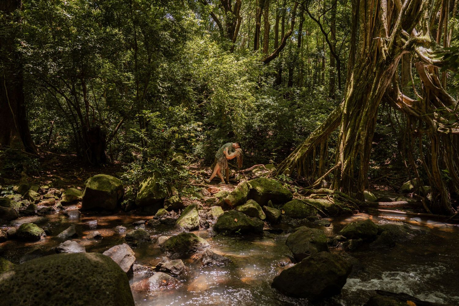 Person exploring a lush tropical rainforest stream with moss-covered rocks and dense green canopy overhead.