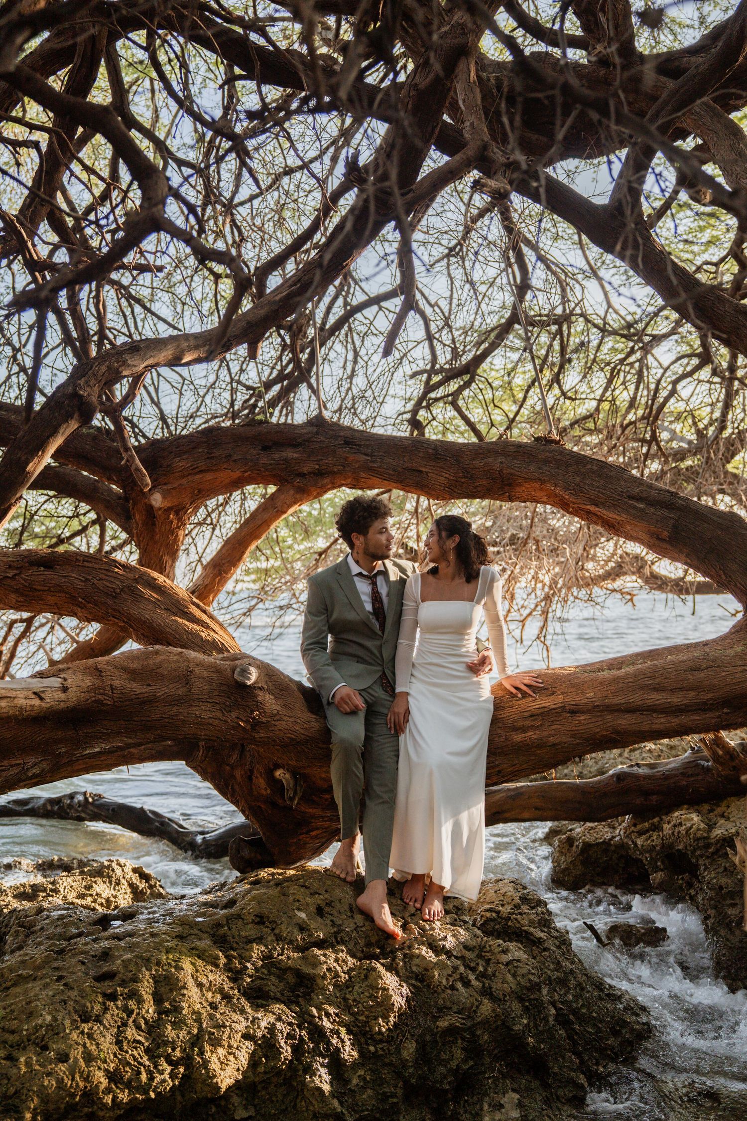 Bride and groom stand among twisted coastal trees on rocky shore, sharing a romantic moment in wedding attire.