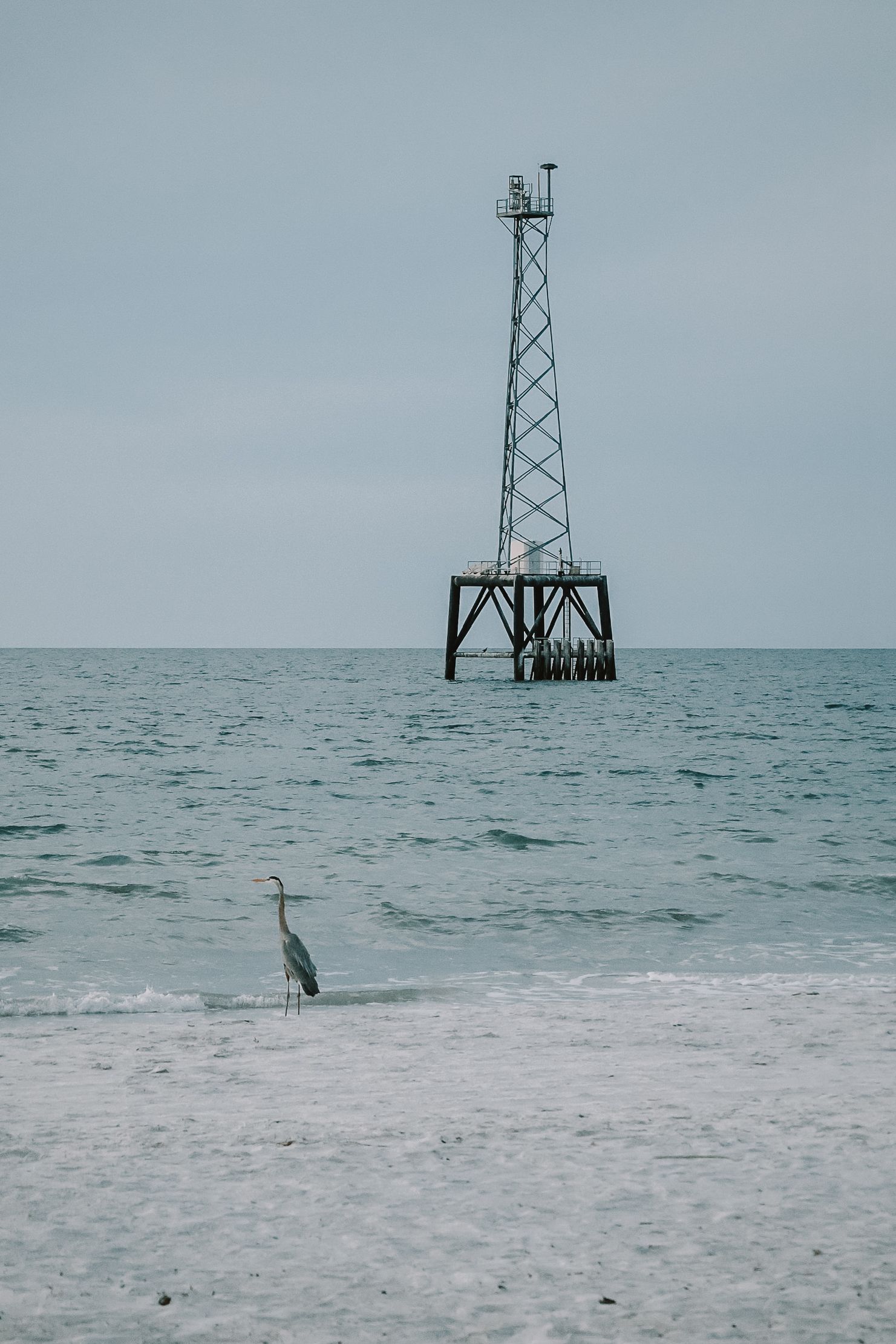 Metal tower structure stands in ocean water with heron bird on beach.