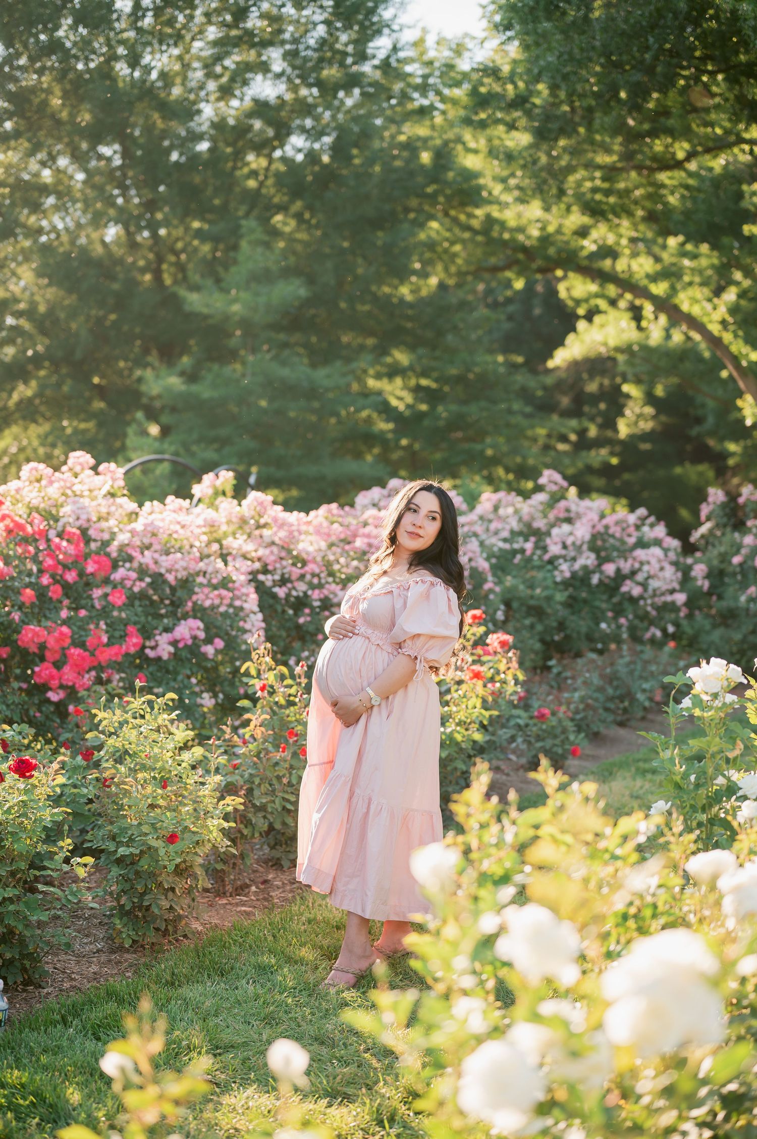 Pregnant woman in pink dress standing among blooming roses in a sunlit garden, cradling her baby bump.