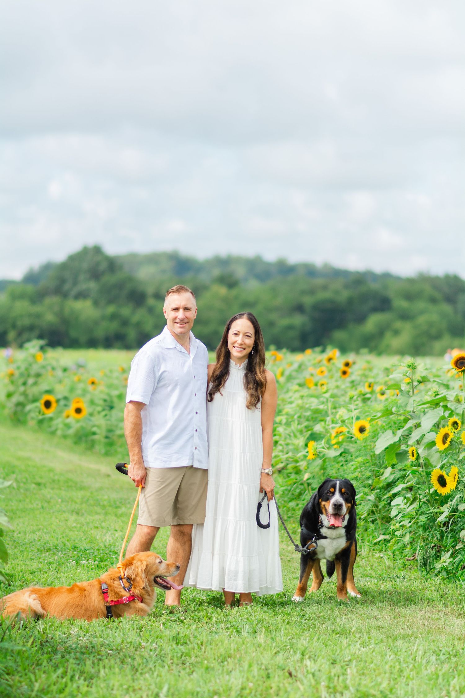 Family and their dogs posing together in a scenic sunflower field on a cloudy summer day.