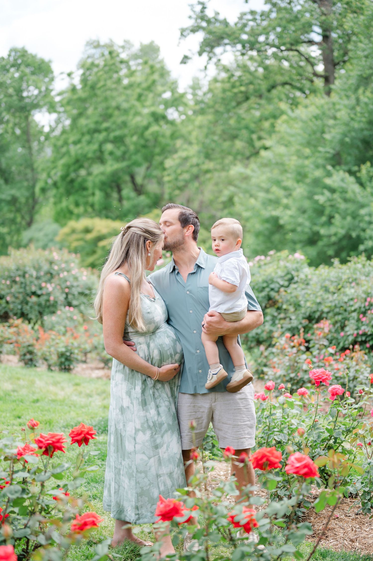 Pregnant woman and man kissing while holding toddler son in a lush garden with red roses blooming.