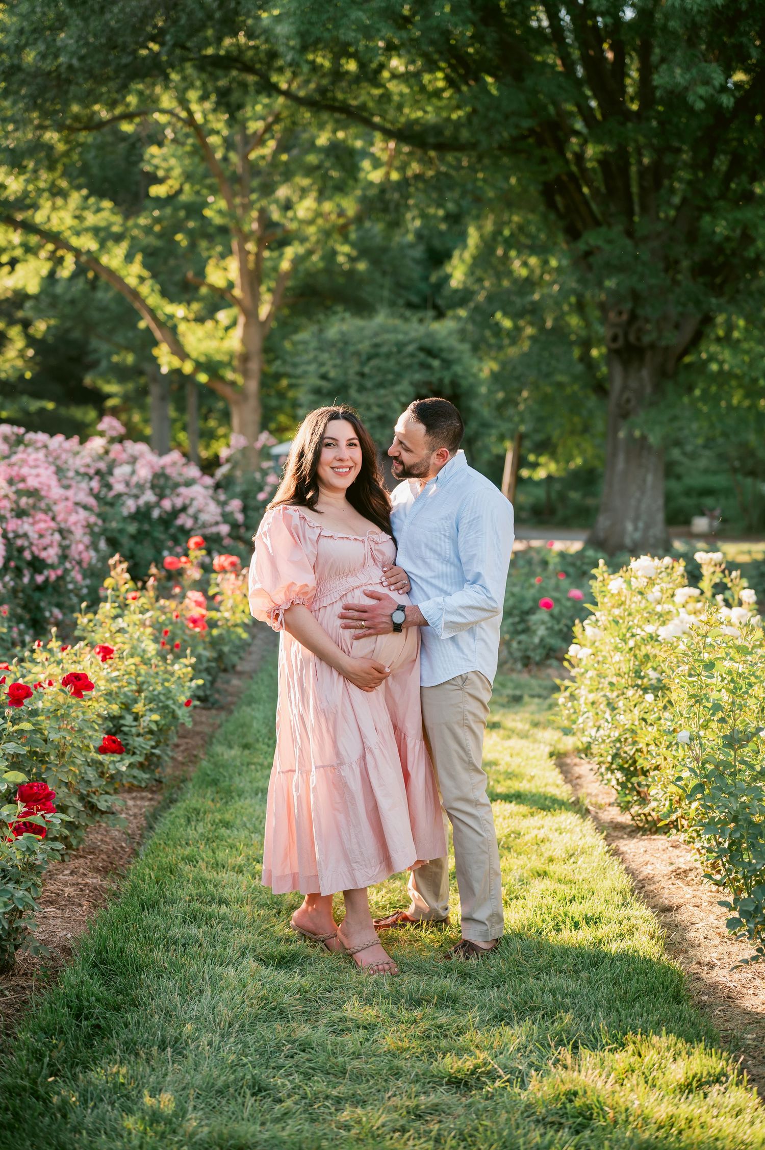 Pregnant couple embracing in a blooming rose garden, woman in pink dress, man in light blue shirt, golden hour light.
