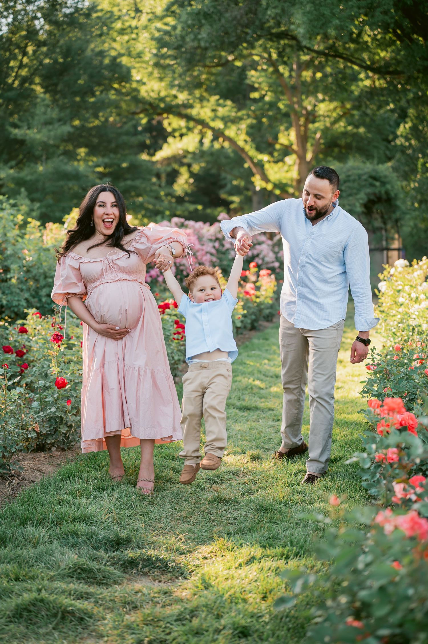 Pregnant woman in pink dress with husband and toddler son walking through a blooming rose garden.