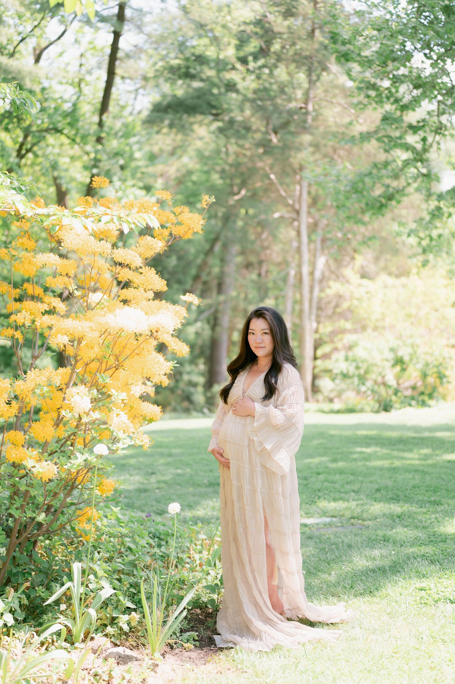 Maternity Session at Green Spring Gardens, Northern Virginia Photographer, NOVA, DMV Maternity Photographer