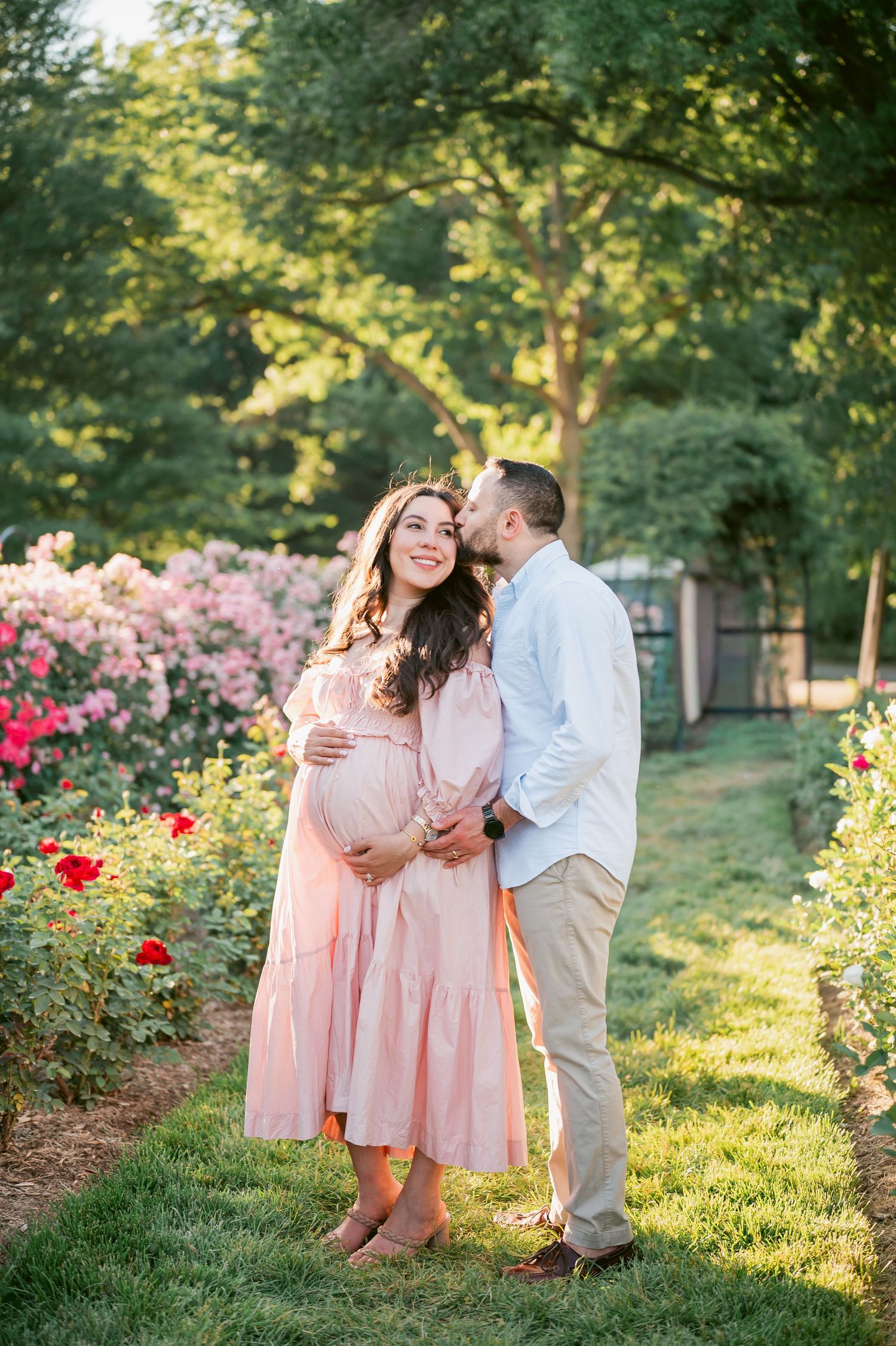 Pregnant woman in pink dress with partner kissing her cheek in a blooming rose garden during golden hour.