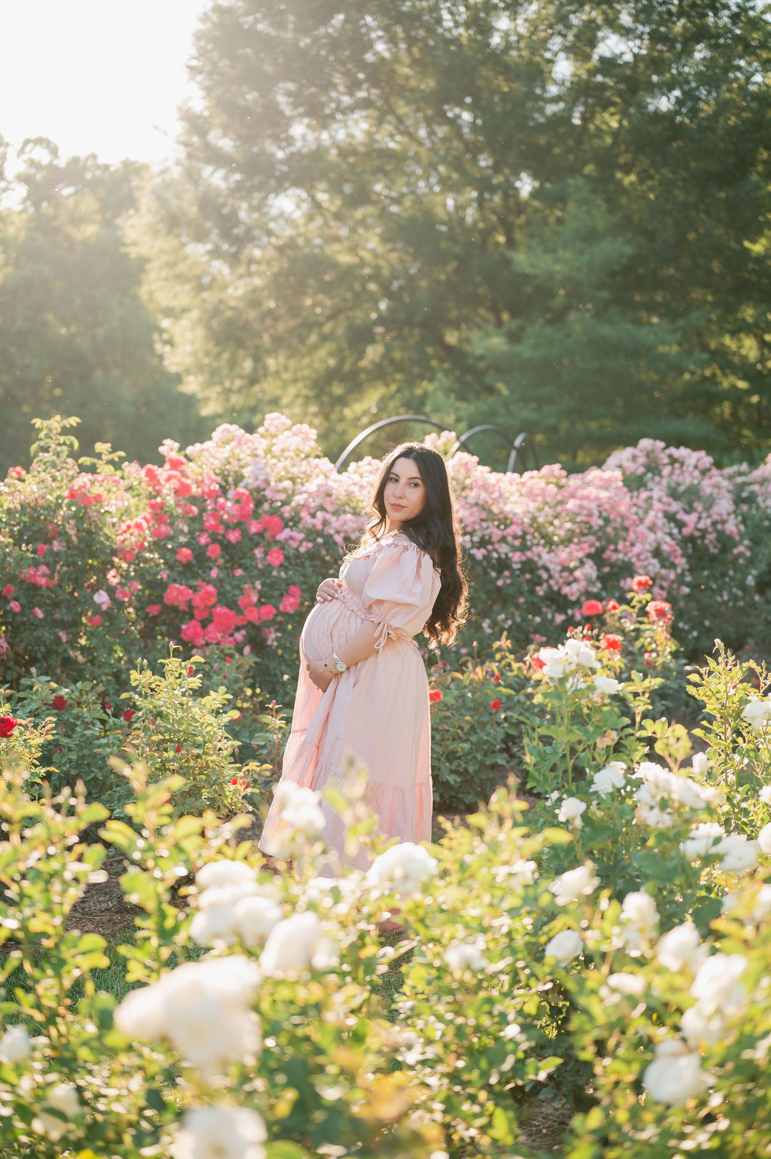 Pregnant woman in pink dress cradling baby bump in a sunlit rose garden with colorful blooms.