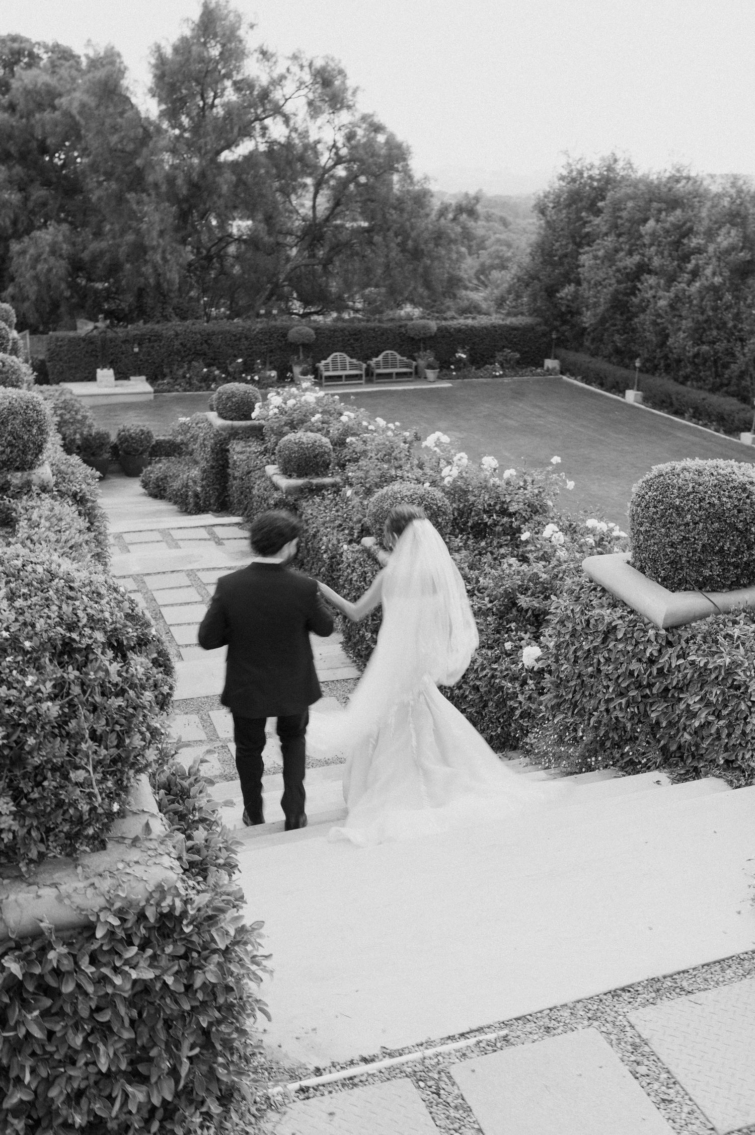 Black and white photo of couple walking down garden path surrounded by manicured hedges.