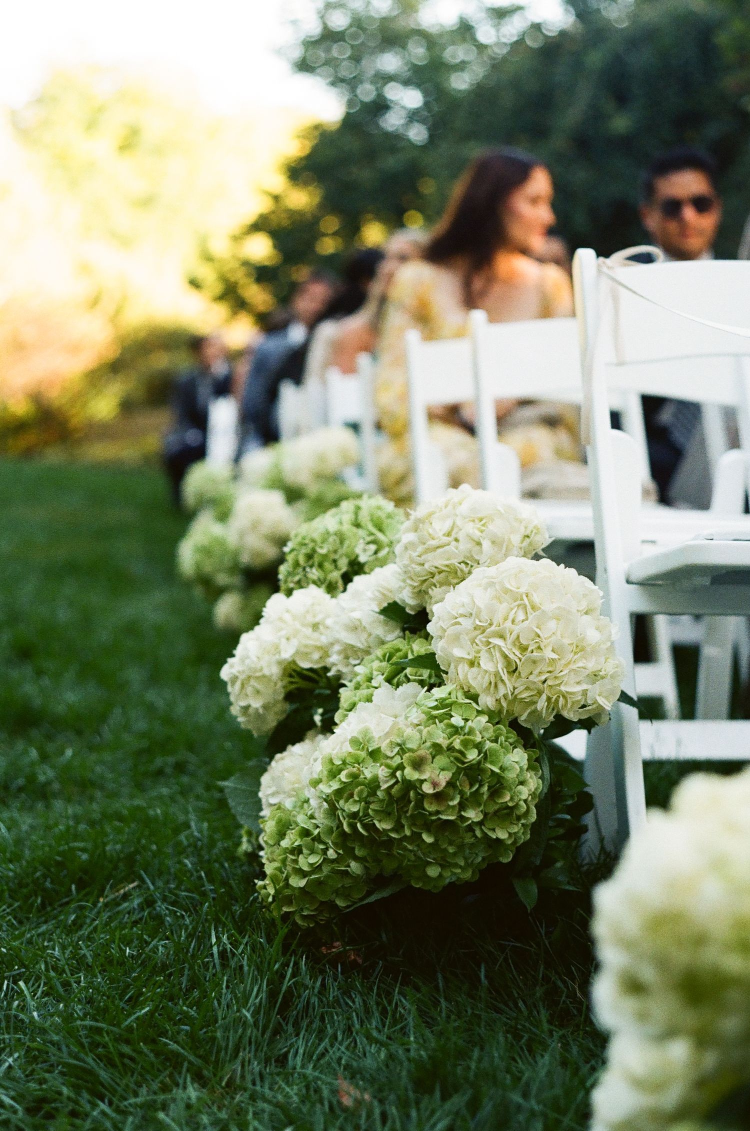 White hydrangea flowers line the aisle of an outdoor wedding ceremony.