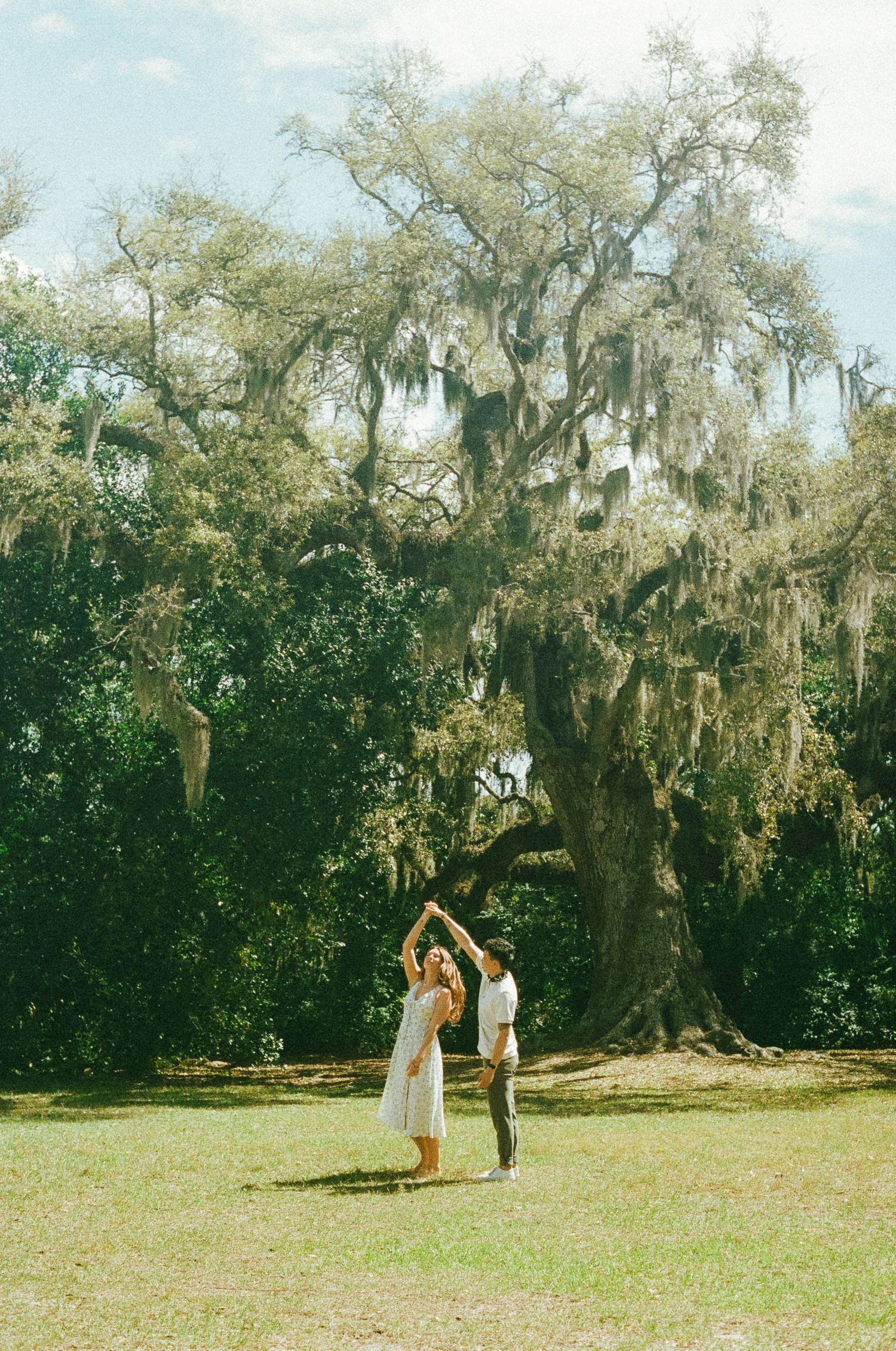 A series of vintage-style photos showing people enjoying a sunny day under Spanish moss-draped trees in a grassy field.