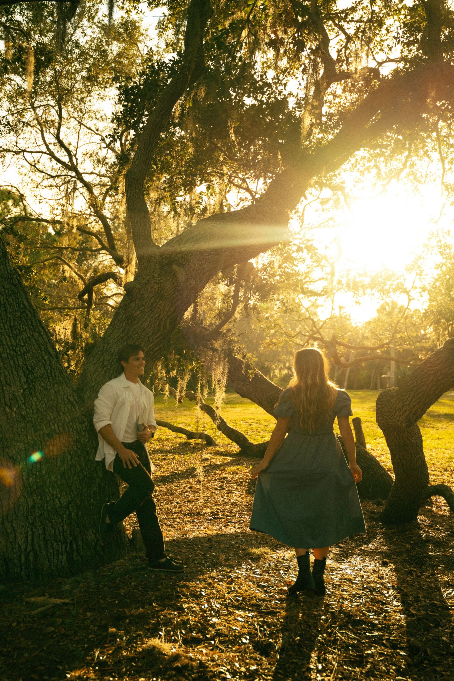 People sitting under trees with sunlight streaming through branches.