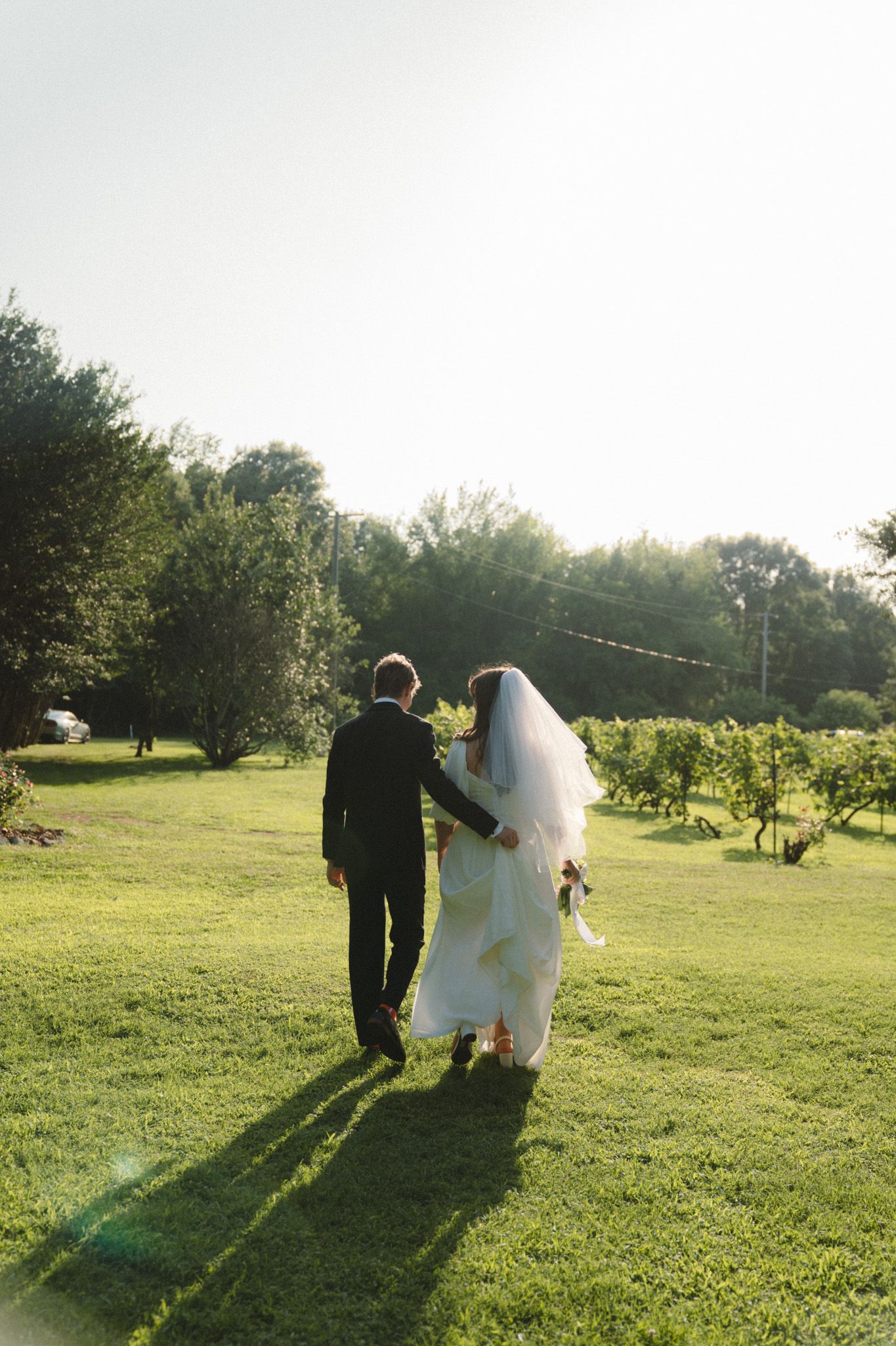 A couple in wedding attire walks hand in hand through a sunlit meadow creating long shadows on the grass.