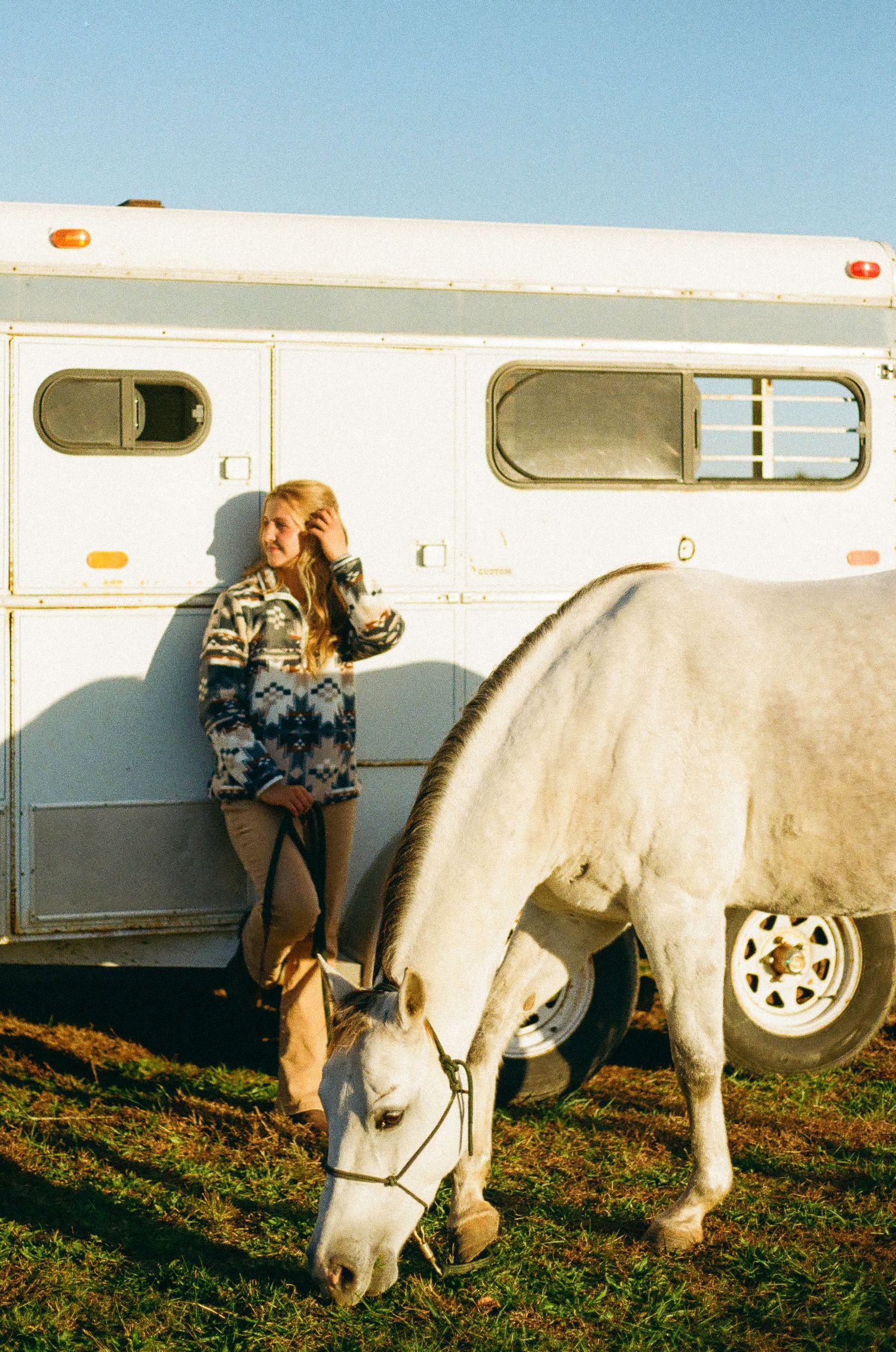 White horse grazing next to a trailer in afternoon sunlight.