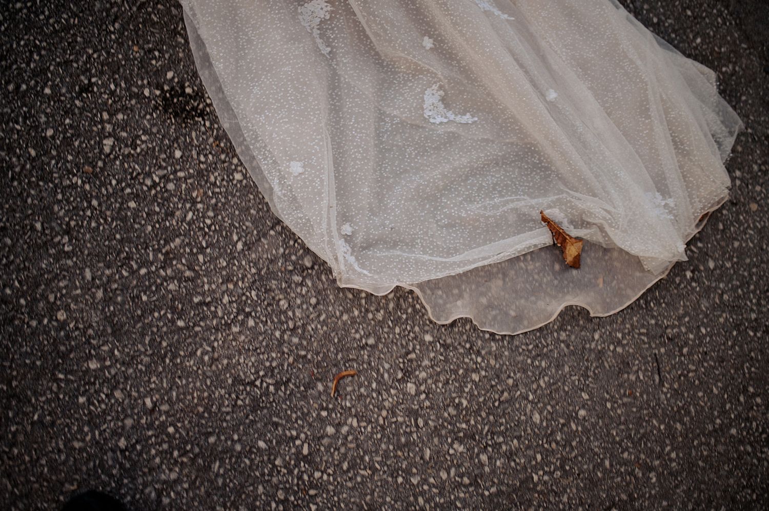 White tulle wedding dress hem spread on wet asphalt pavement with a small orange leaf nearby.