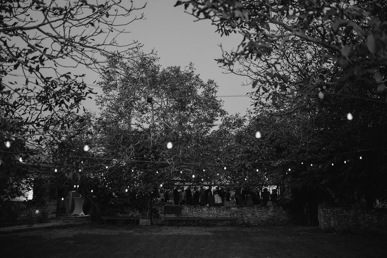 Black and white outdoor evening gathering with string lights glowing among trees creating a magical atmosphere.