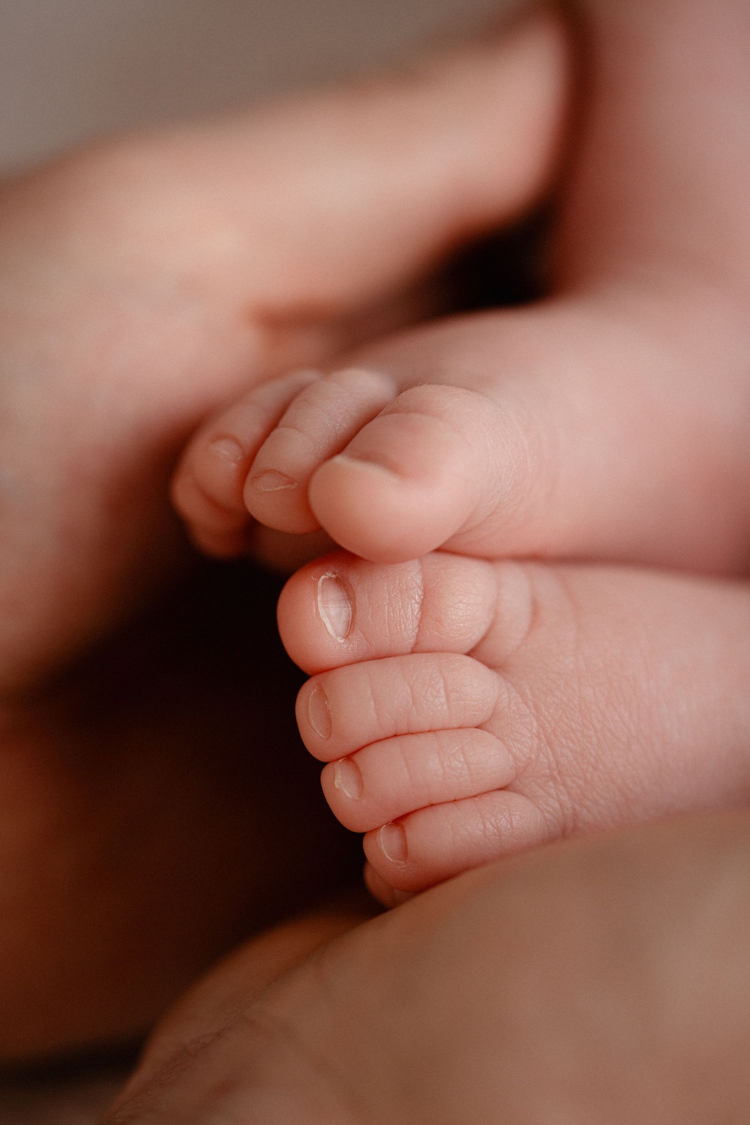 Close-up photo of tiny baby toes and feet in soft pink lighting showing delicate newborn details.