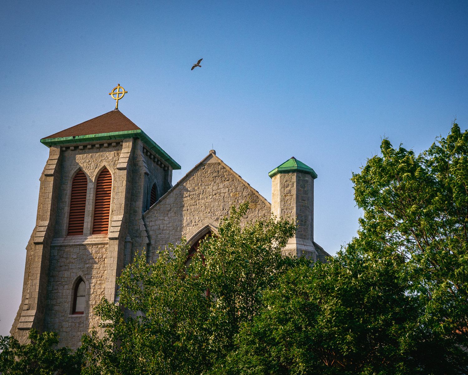 Row of church steeples and rooftops peeking above green tree line against bright blue sky with a bird soaring overhead.