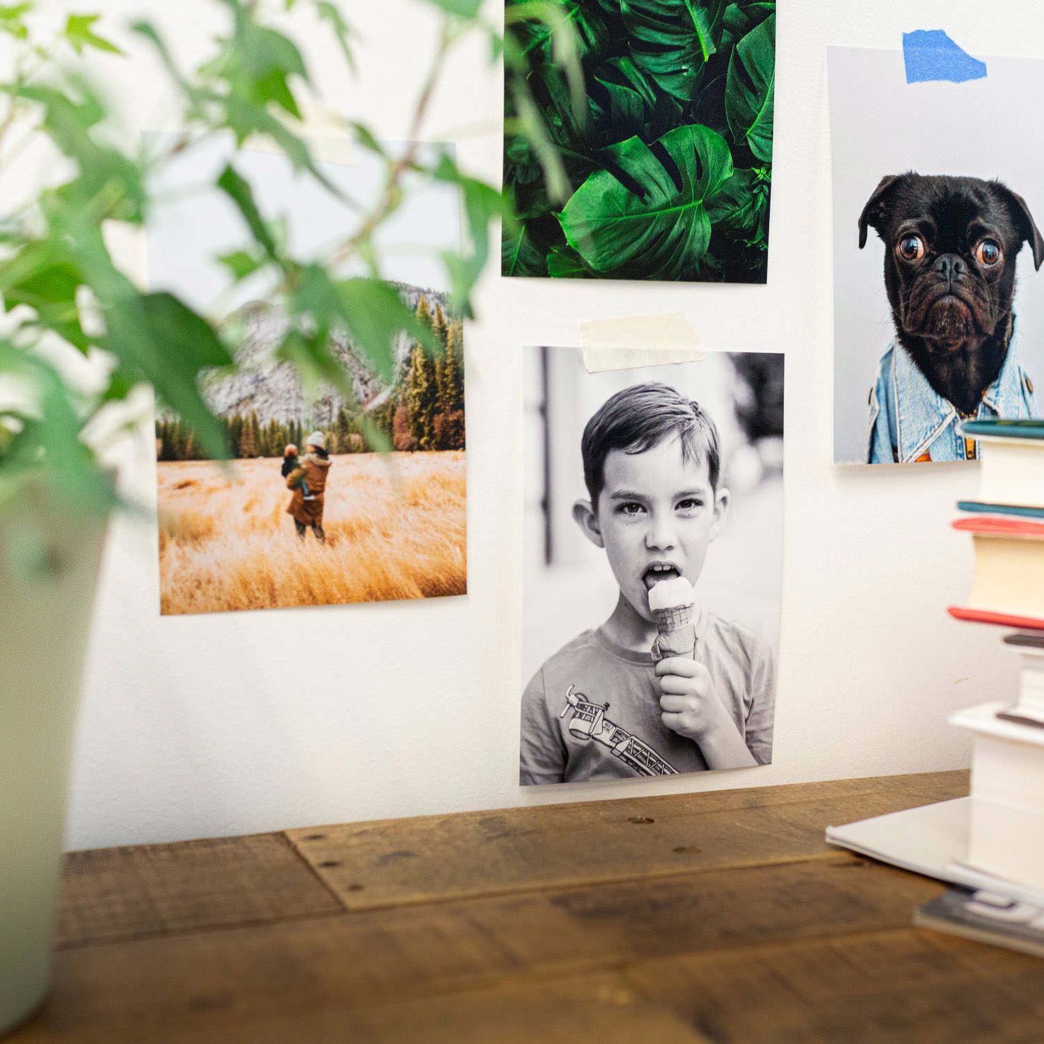 Gallery wall display featuring a collection of photographs and artwork mounted on a white wall above a wooden surface.