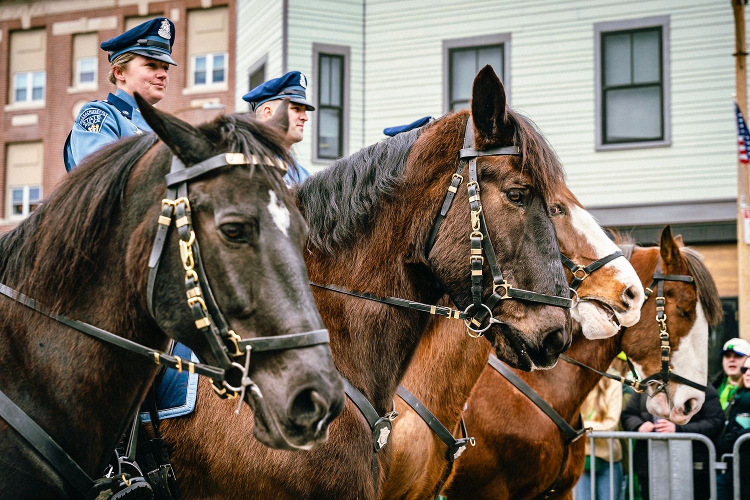 A row of police officers on horseback patrol a city street with brick buildings in the background.